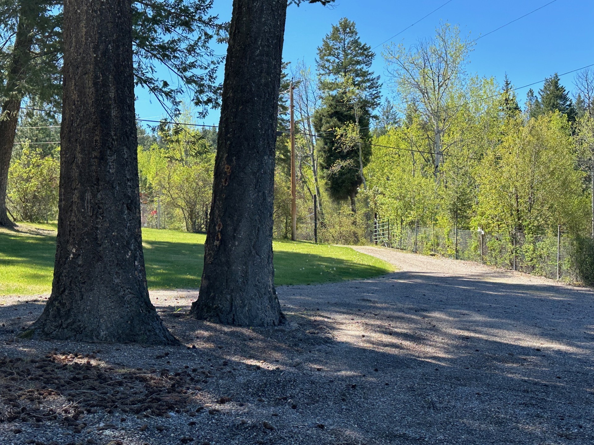 41030 Acacia Lane Property Photo 84