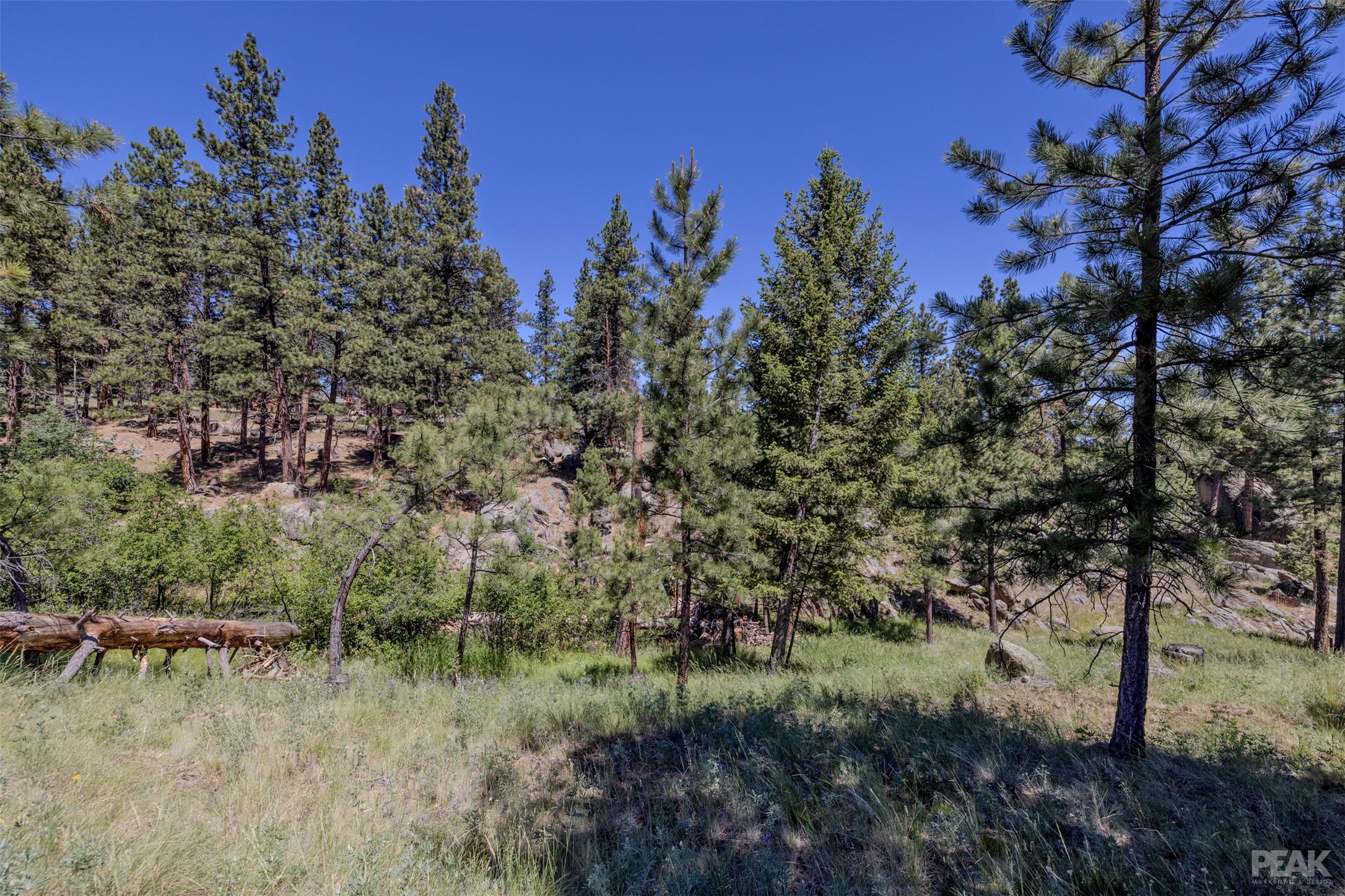 2 Middle Loop Road Property Photo 6