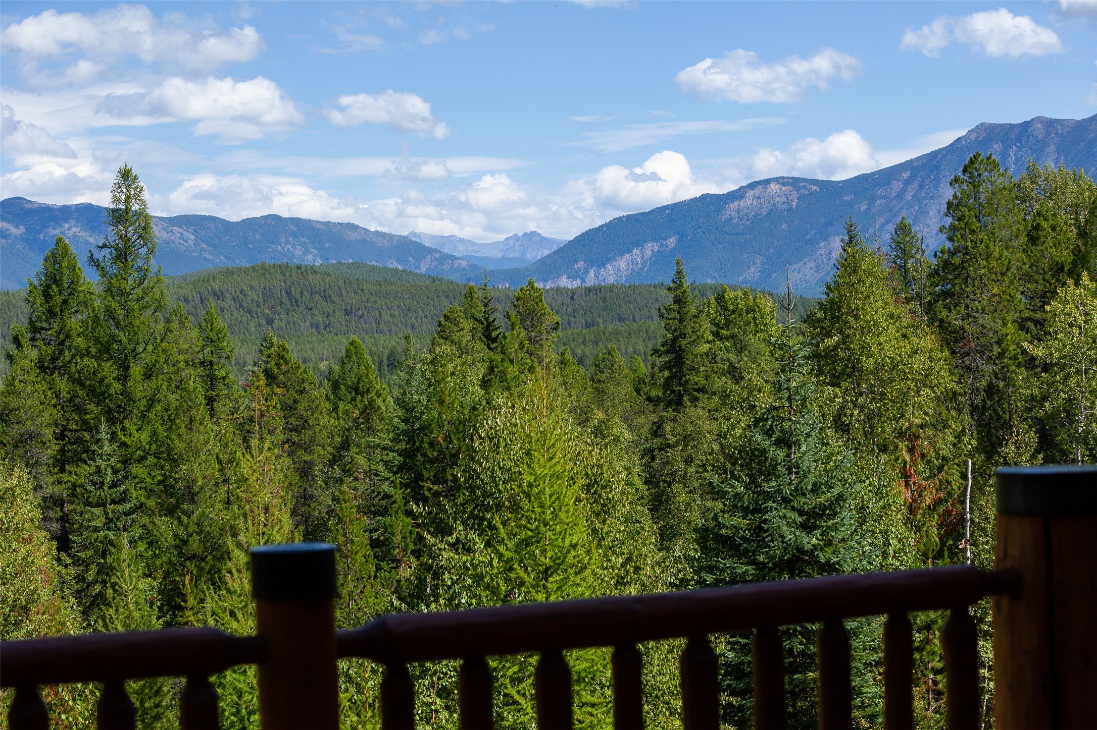 599 Talon Trail Property Photo 54