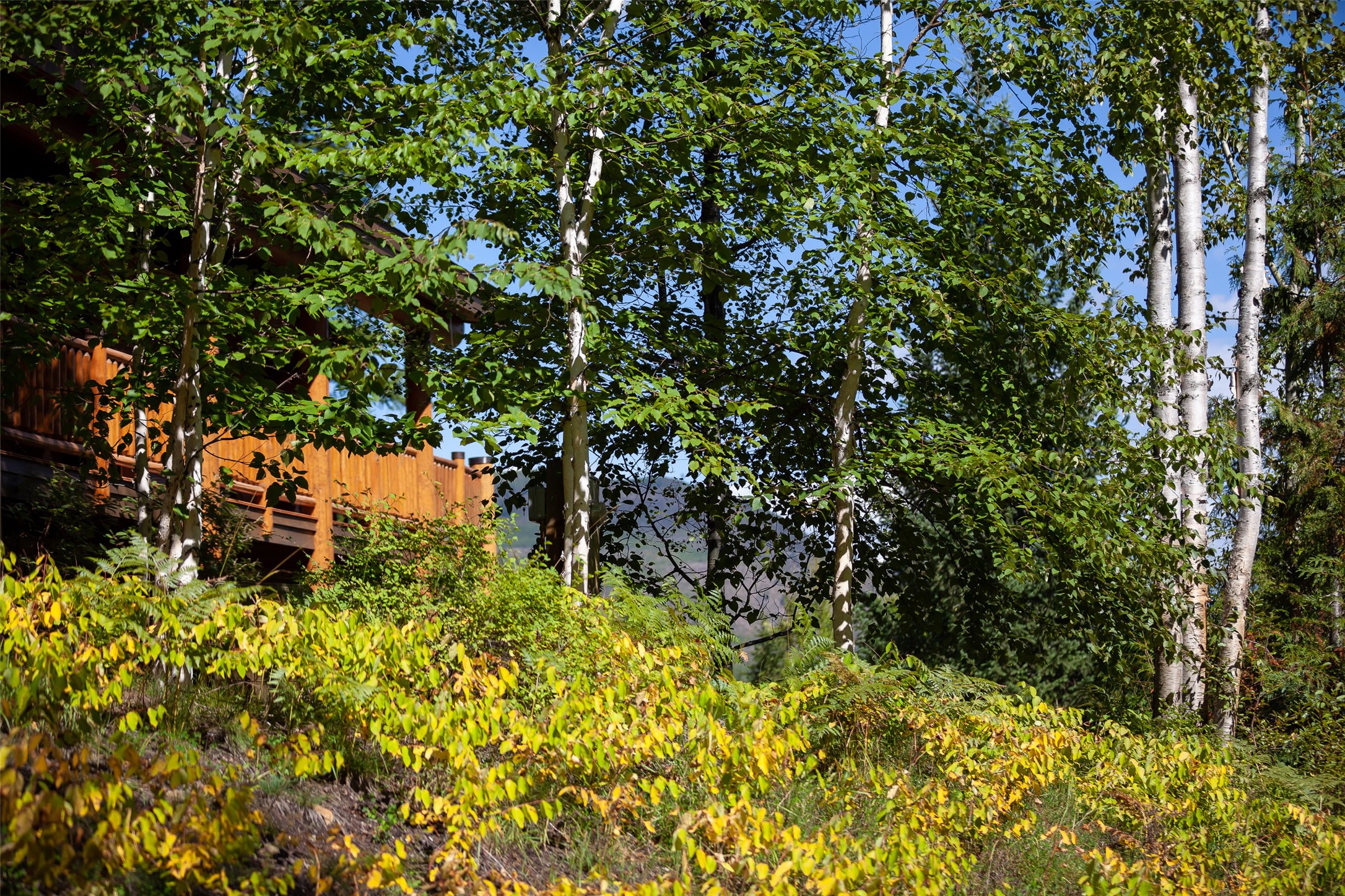 599 Talon Trail Property Photo 79