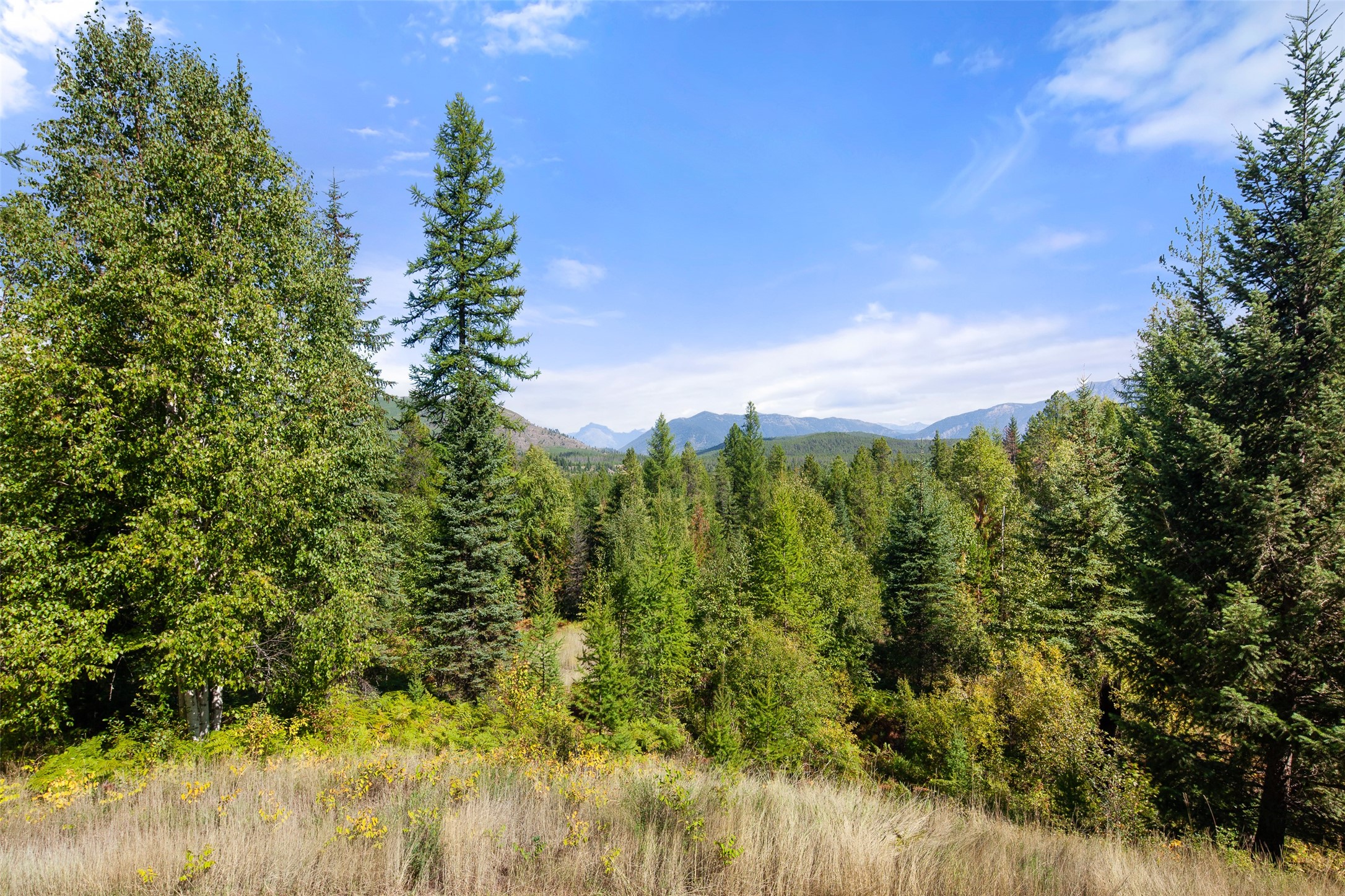 599 Talon Trail Property Photo 80