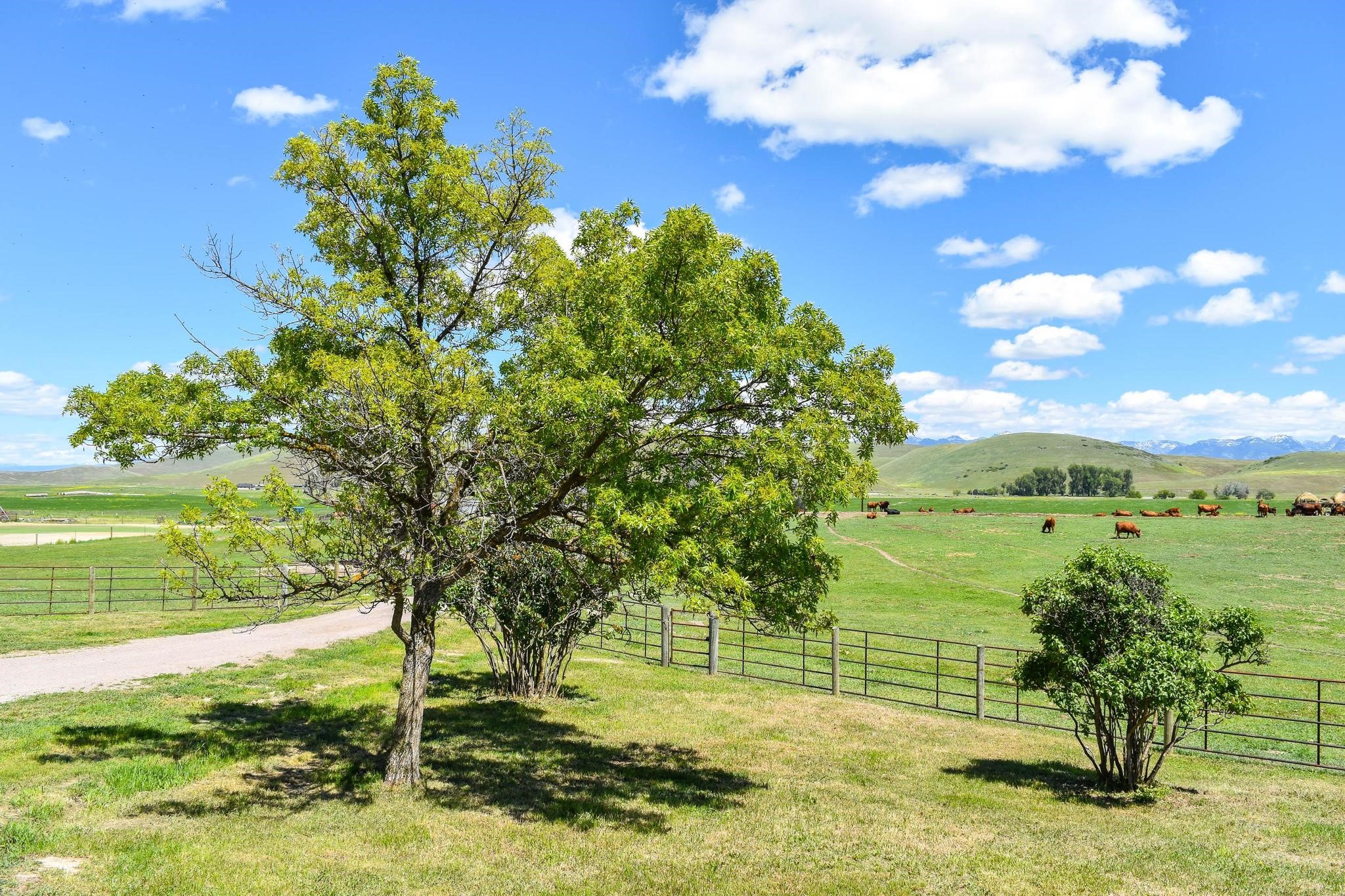 46471 Valley View Road Property Photo 97