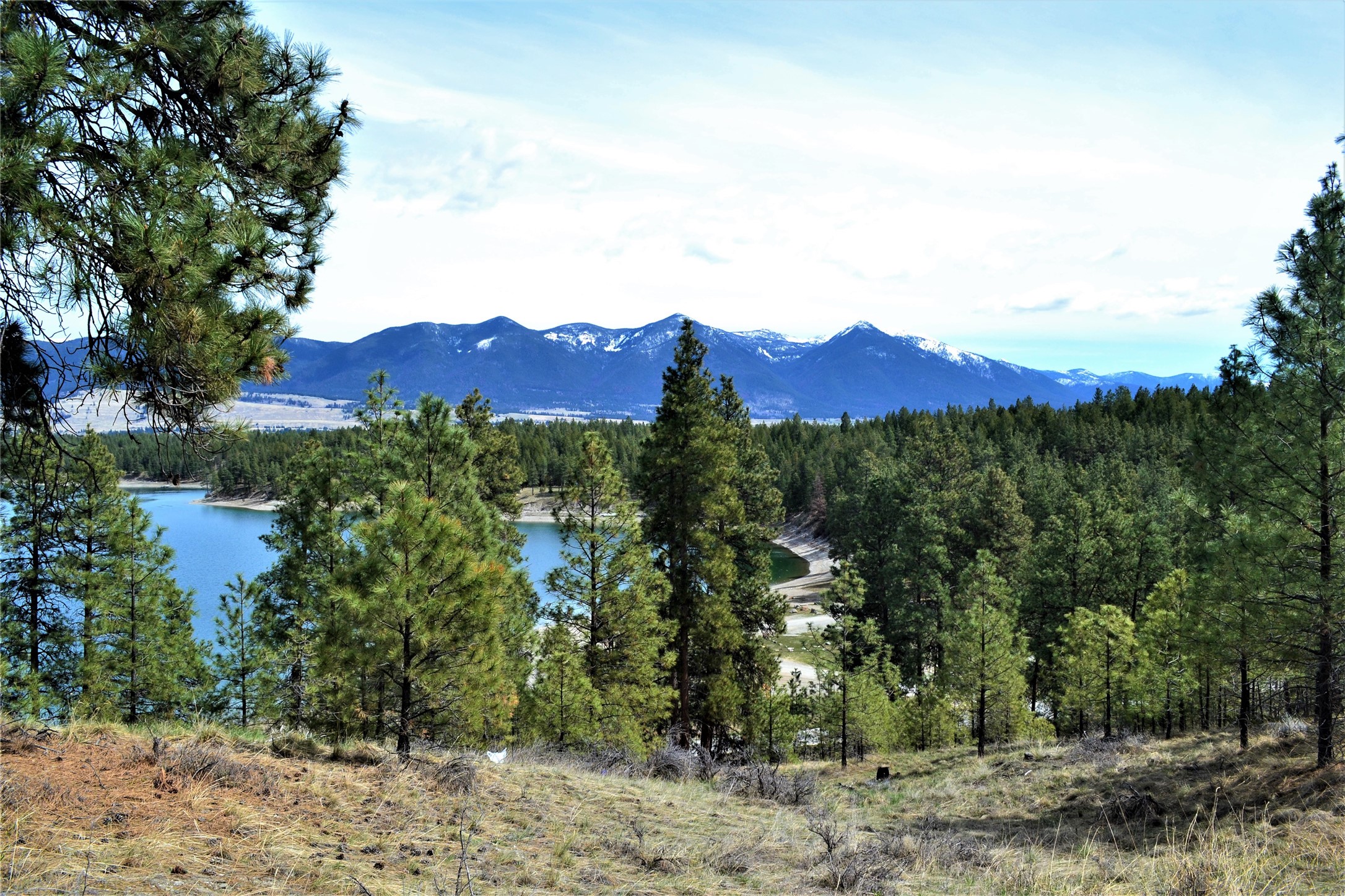3653 Sophie Lake Road Property Photo 72
