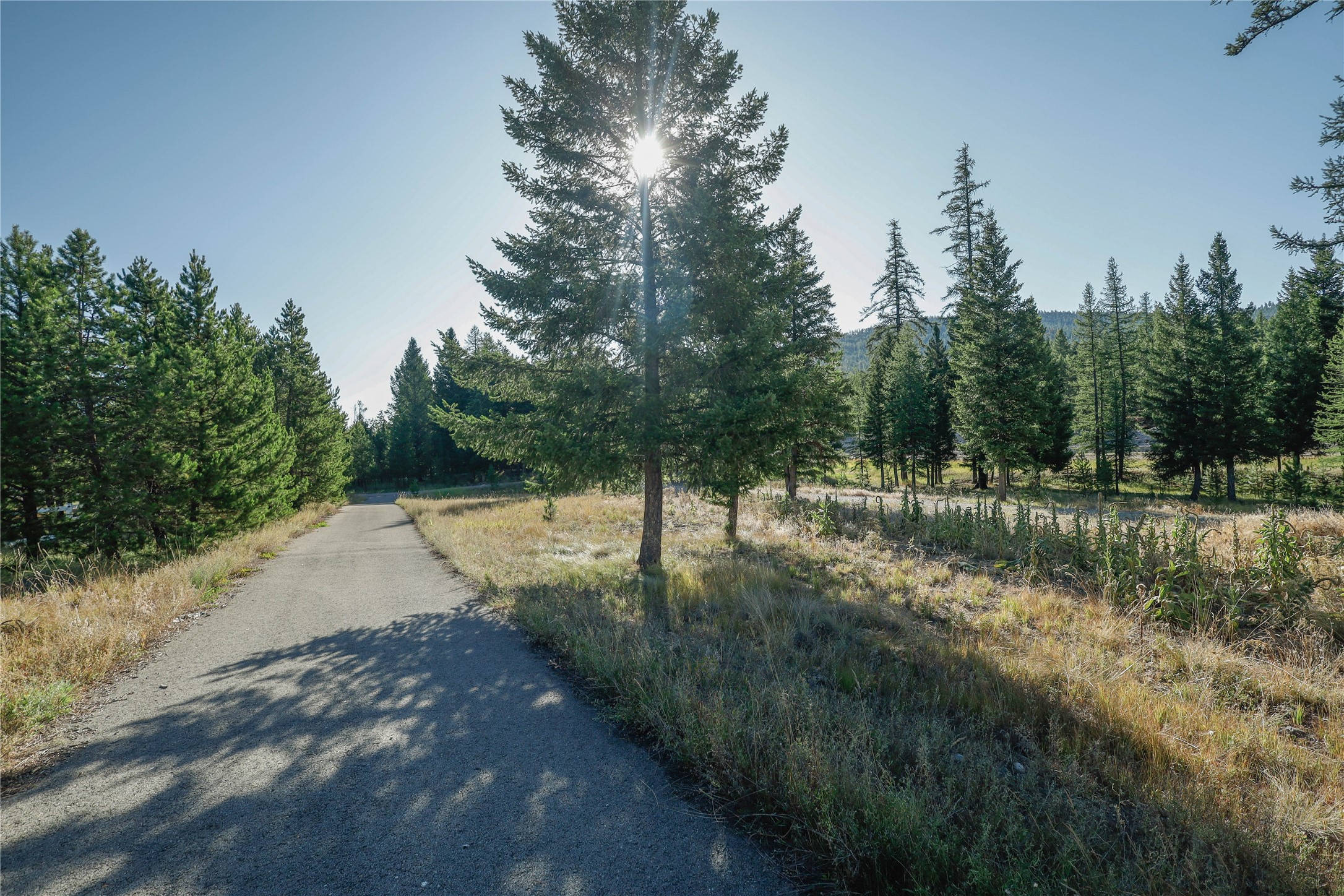 100 Baily Circle Property Photo 14