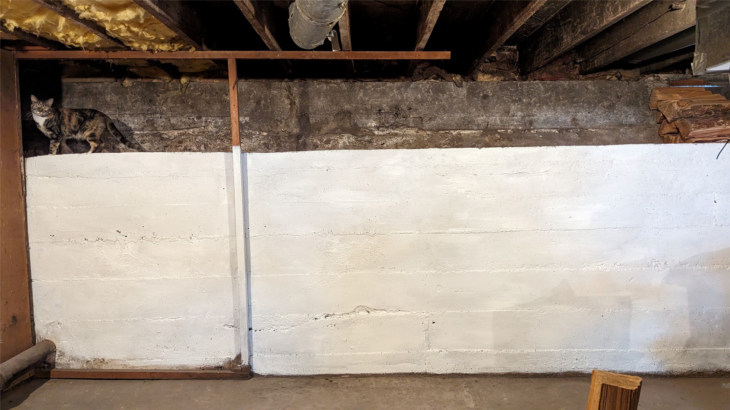 908 Mineral Avenue Property Photo 30