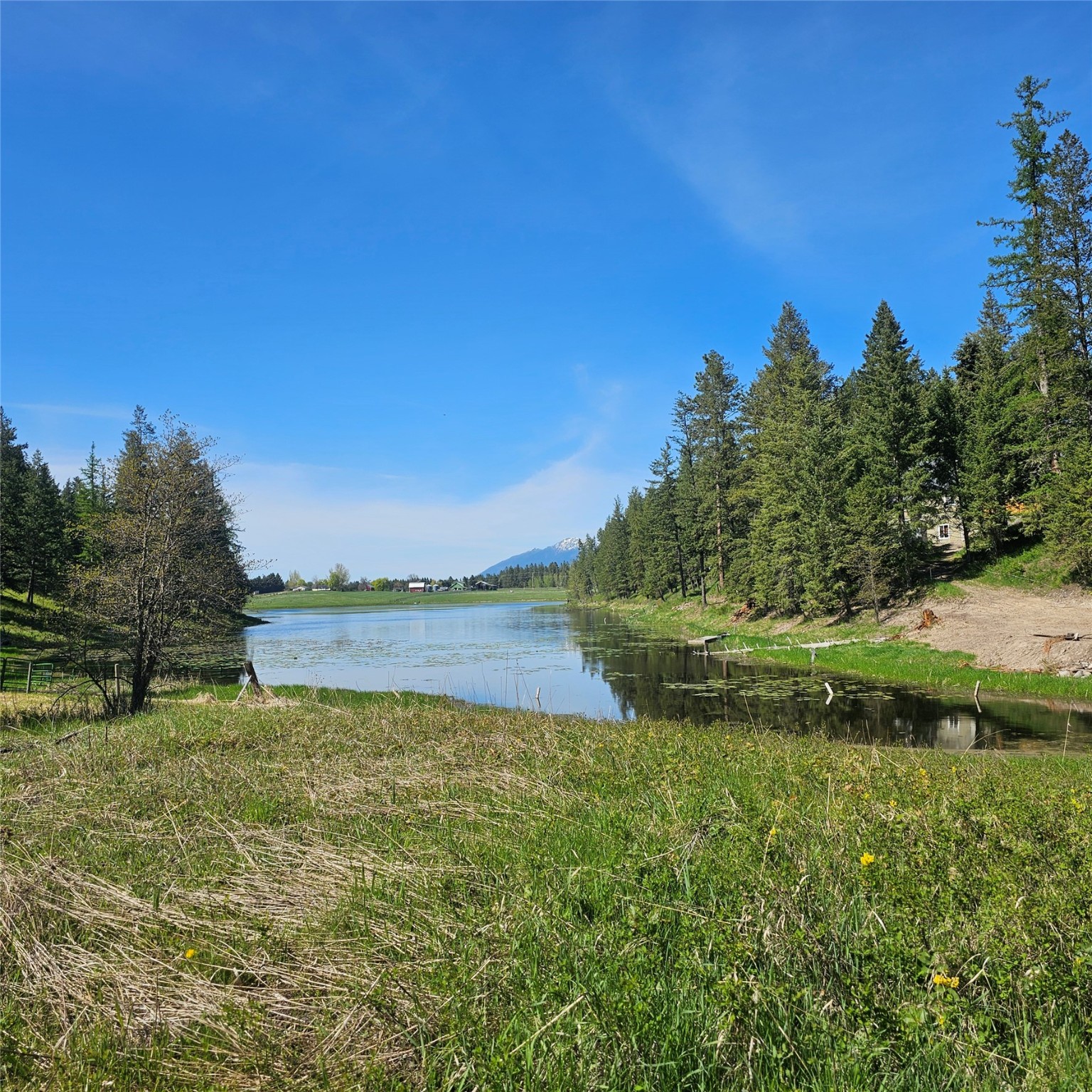1434 Bigfork Stage Road Property Photo 2