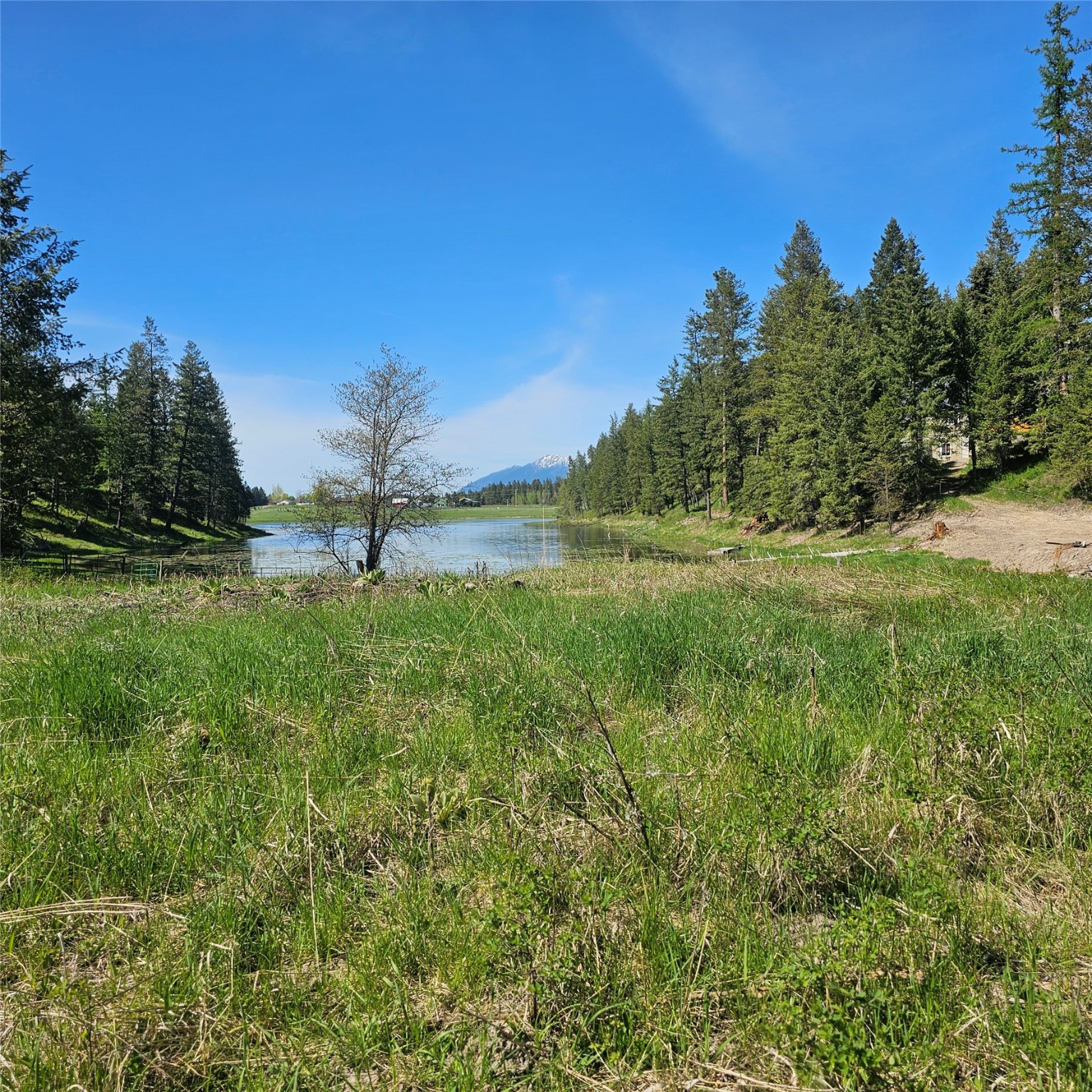 1434 Bigfork Stage Road Property Photo 4