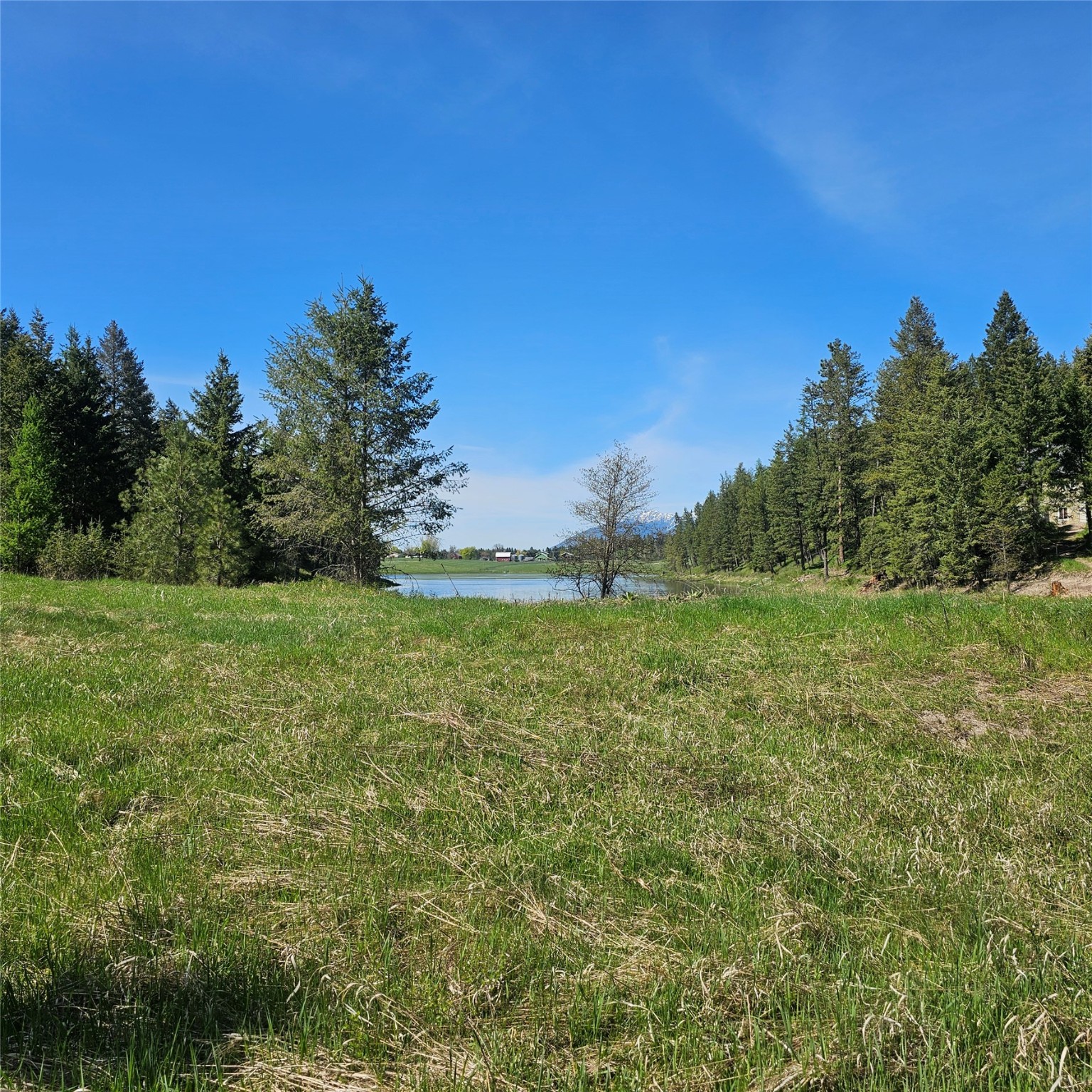 1434 Bigfork Stage Road Property Photo 5