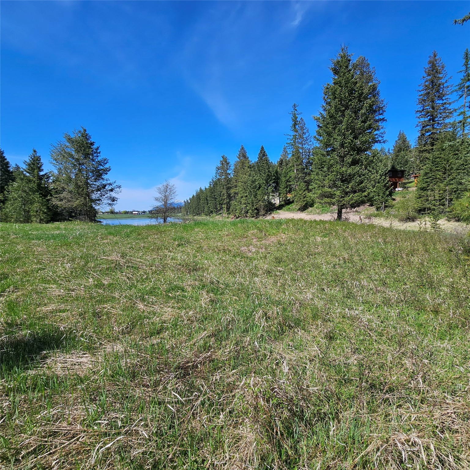 1434 Bigfork Stage Road Property Photo 6