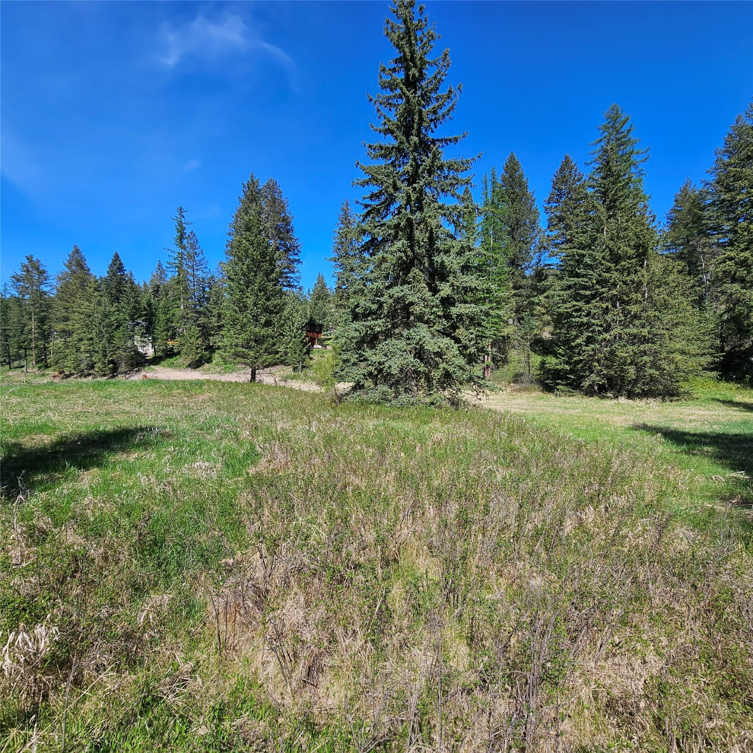1434 Bigfork Stage Road Property Photo 8