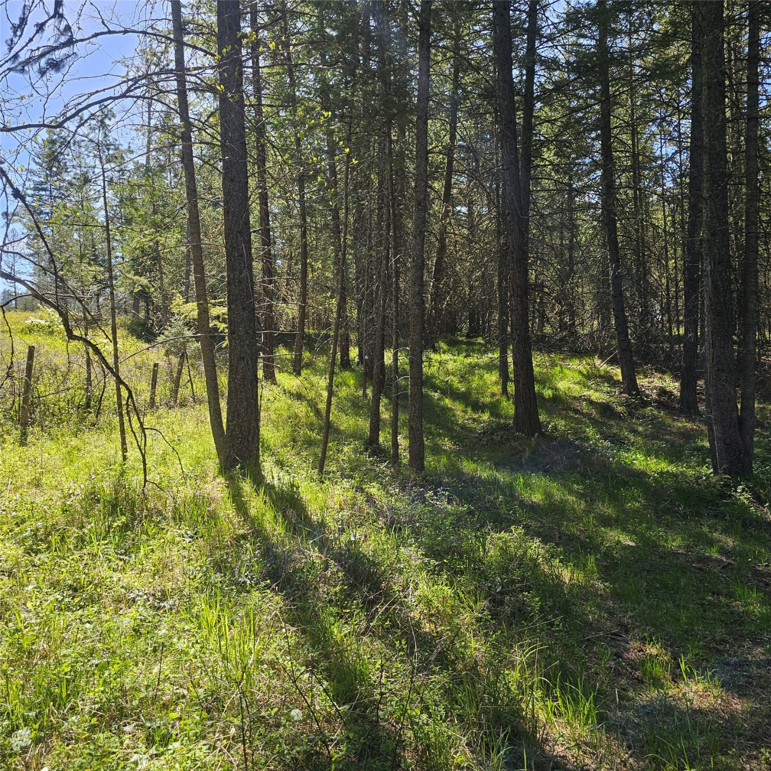 1434 Bigfork Stage Road Property Photo 9