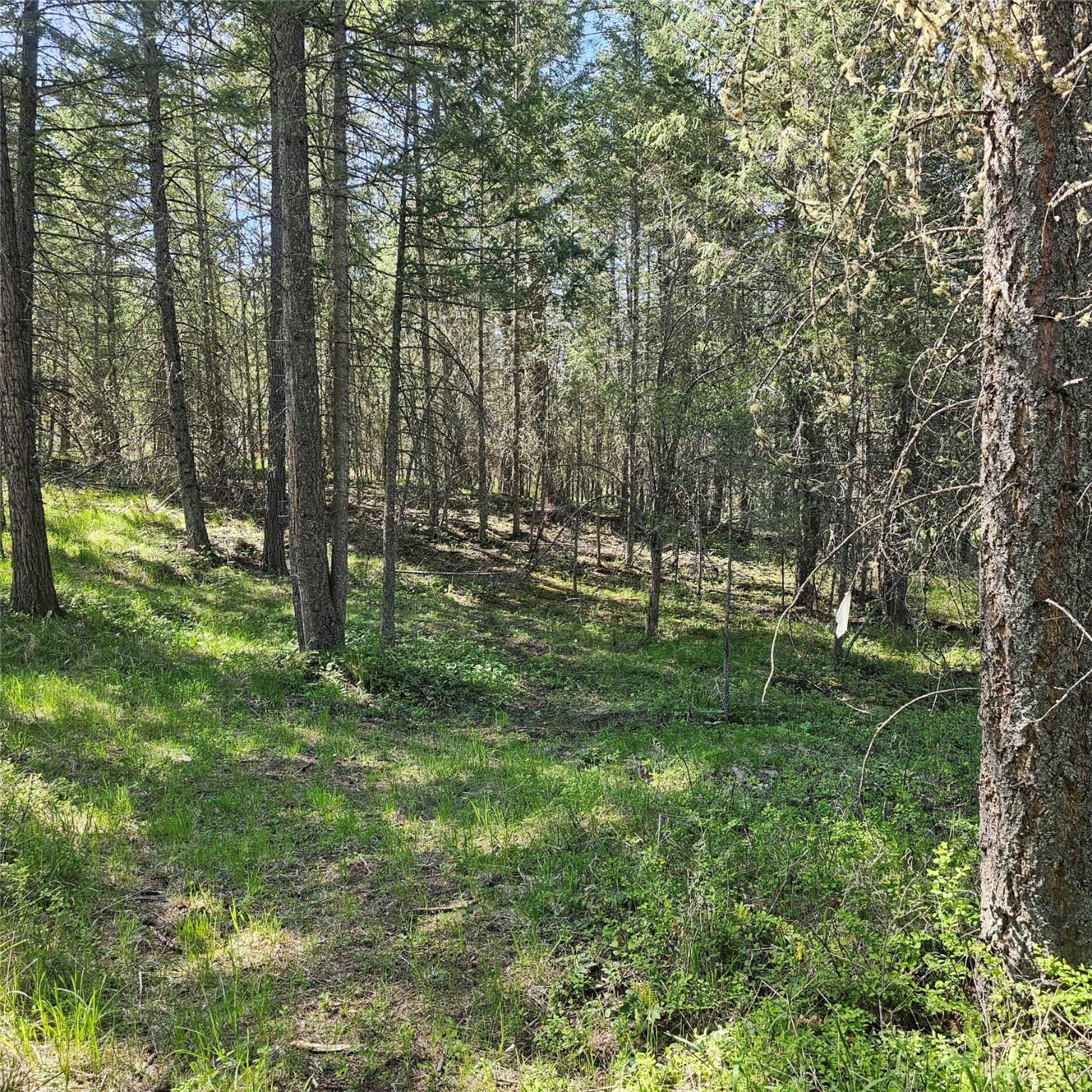 1434 Bigfork Stage Road Property Photo 10