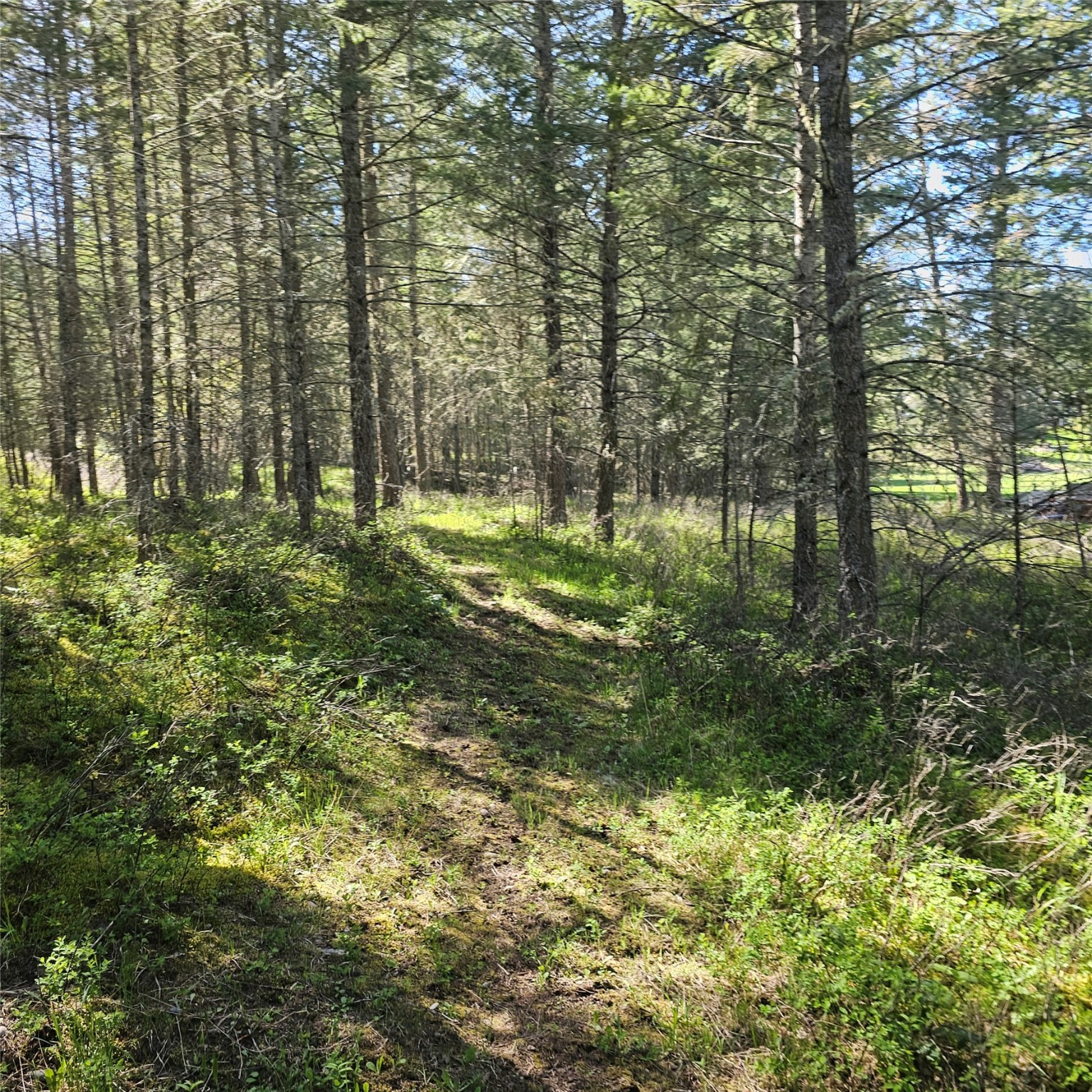 1434 Bigfork Stage Road Property Photo 12