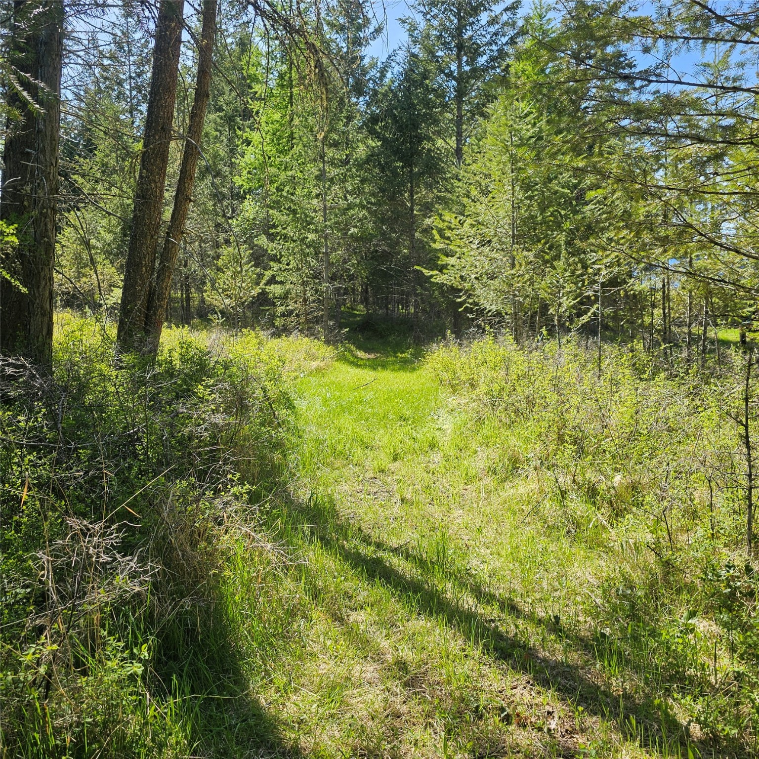 1434 Bigfork Stage Road Property Photo 14