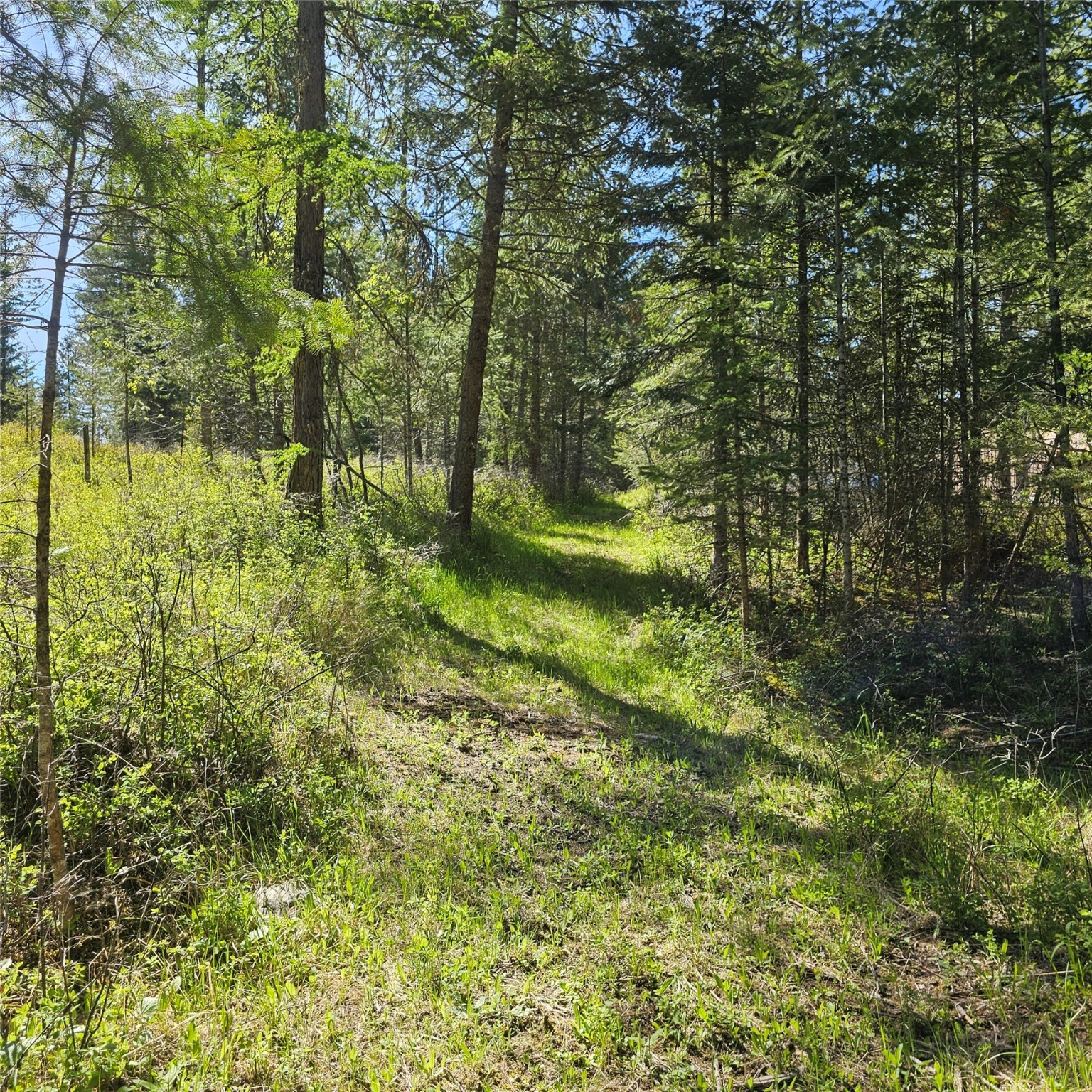1434 Bigfork Stage Road Property Photo 15
