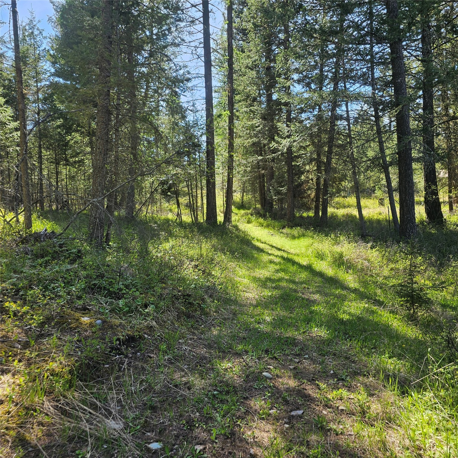 1434 Bigfork Stage Road Property Photo 16