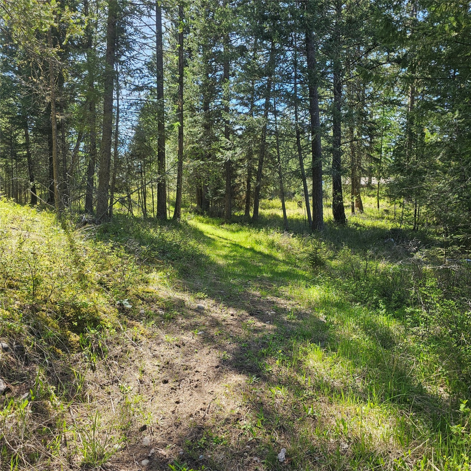 1434 Bigfork Stage Road Property Photo 17