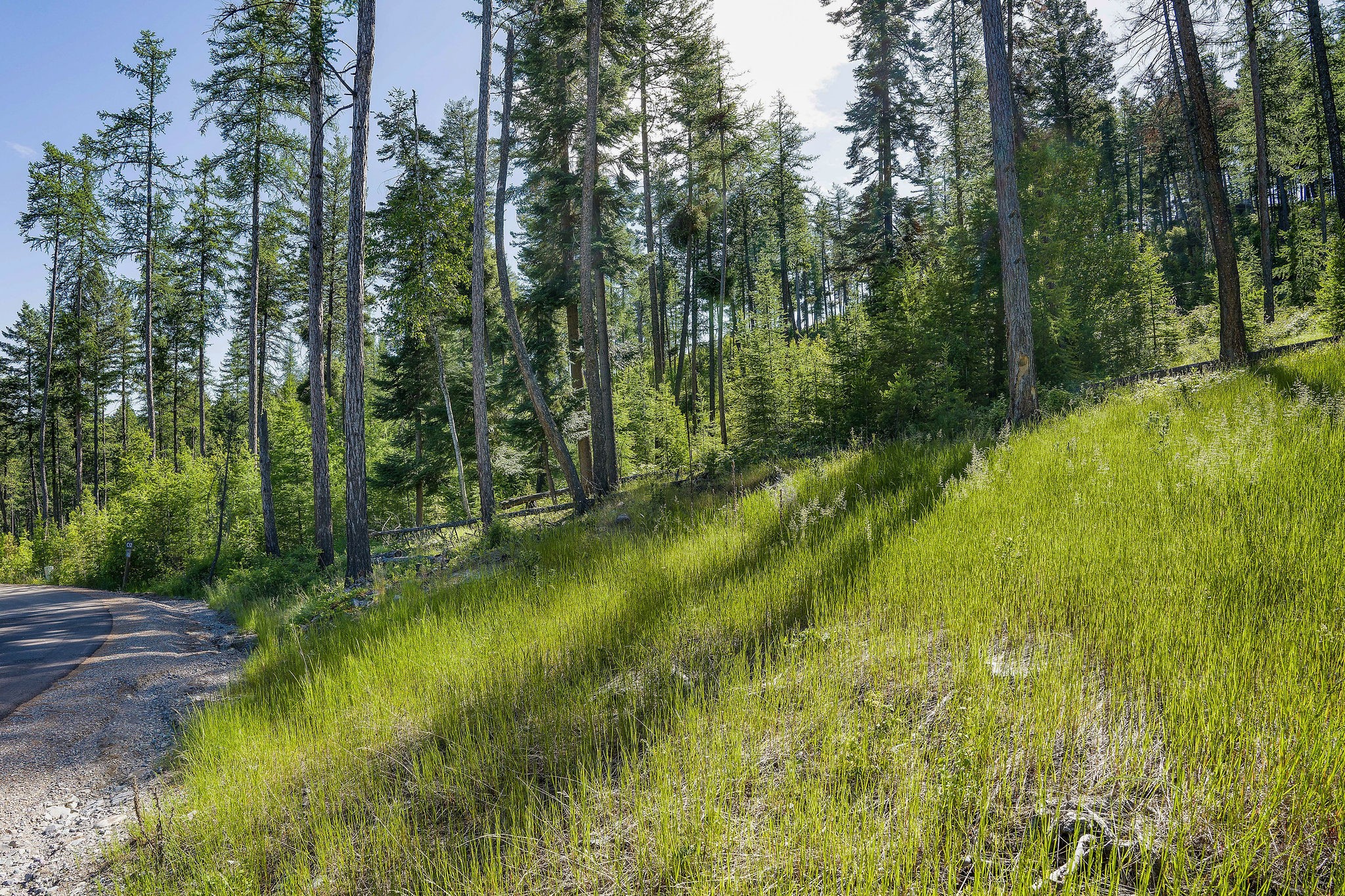 234 Trading Post Trail Property Photo 4