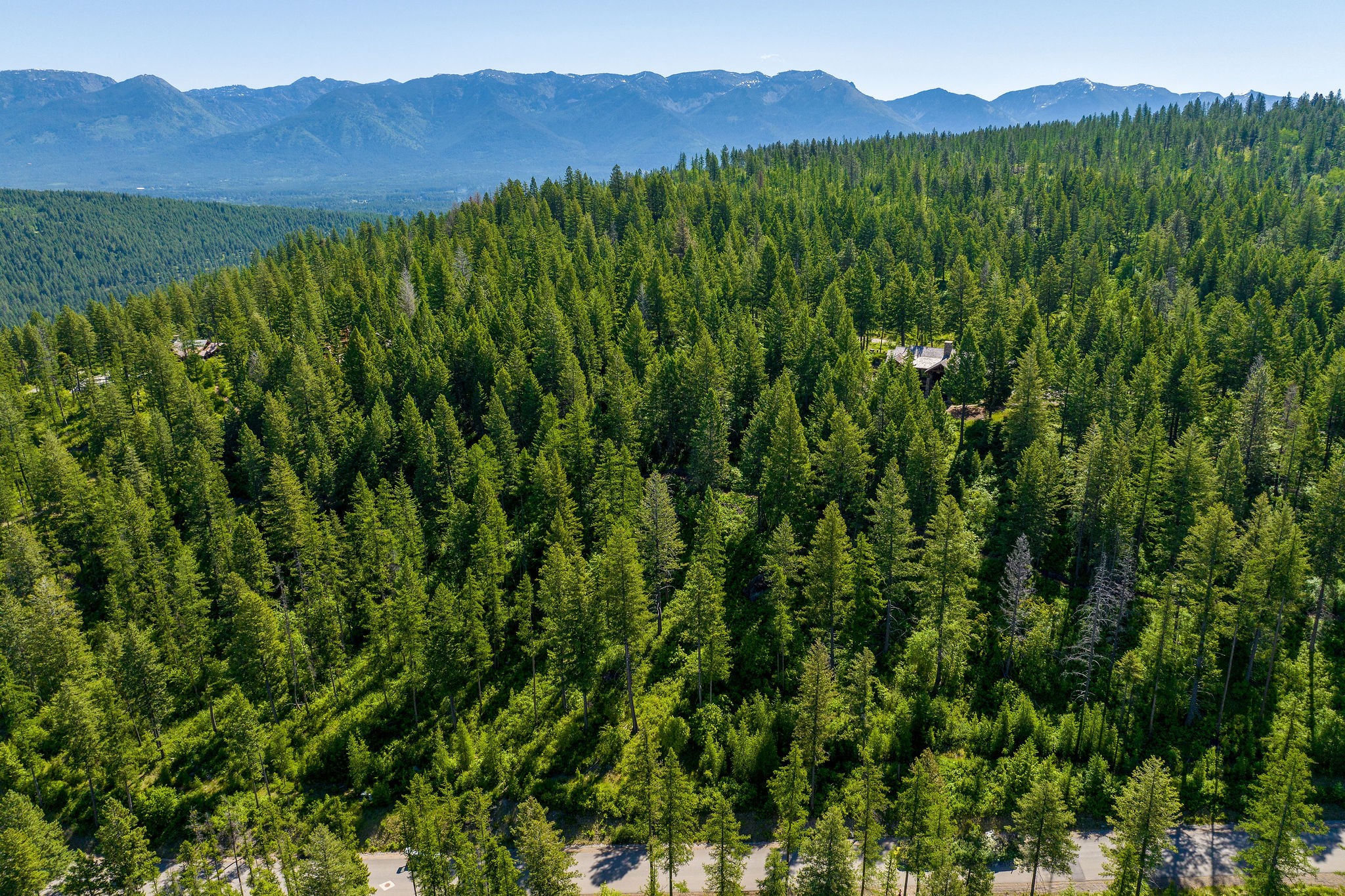 643 Saddlehorn Trail Property Photo 10