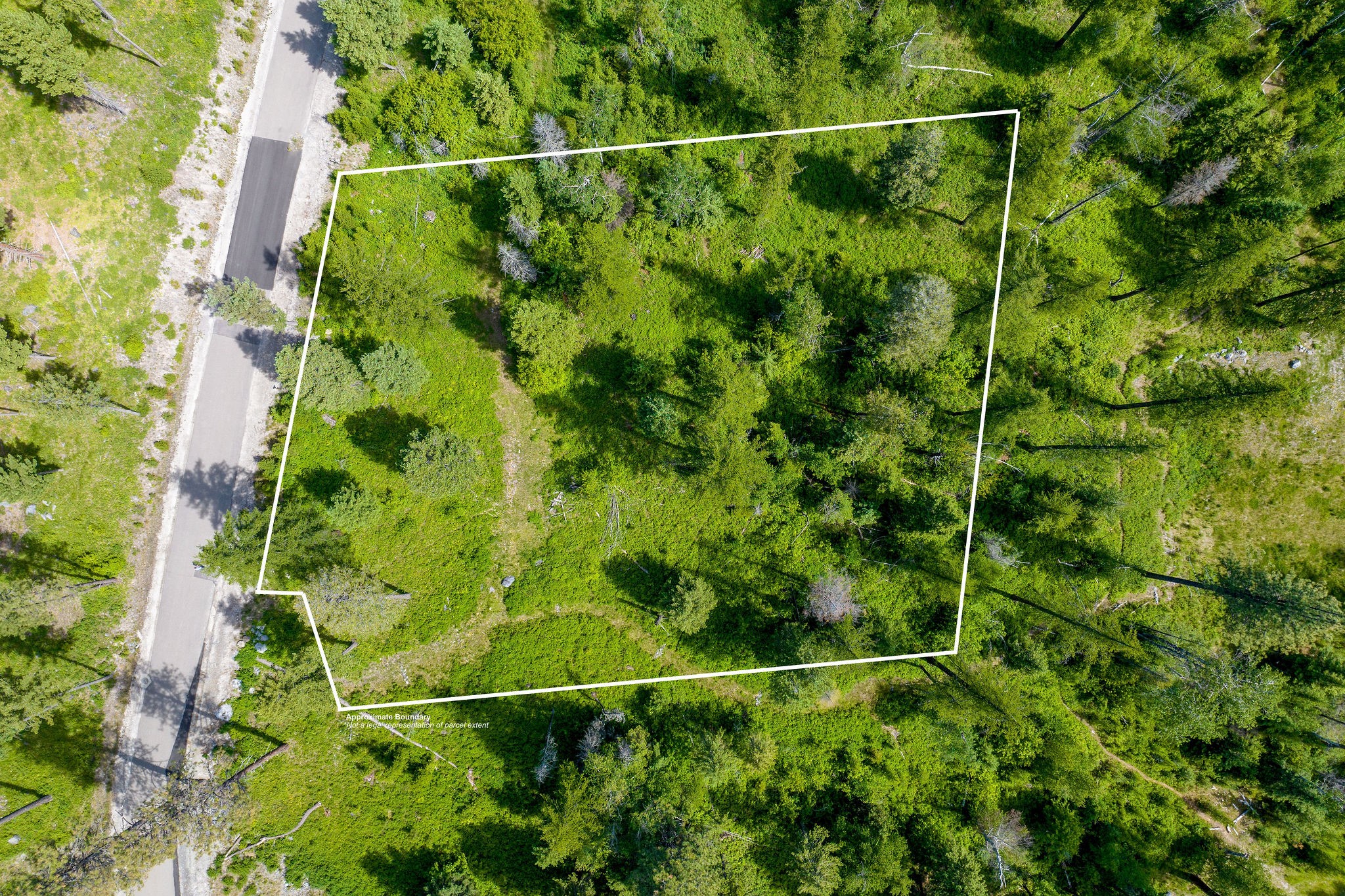 429 Chief Cliff Trail Property Photo 2