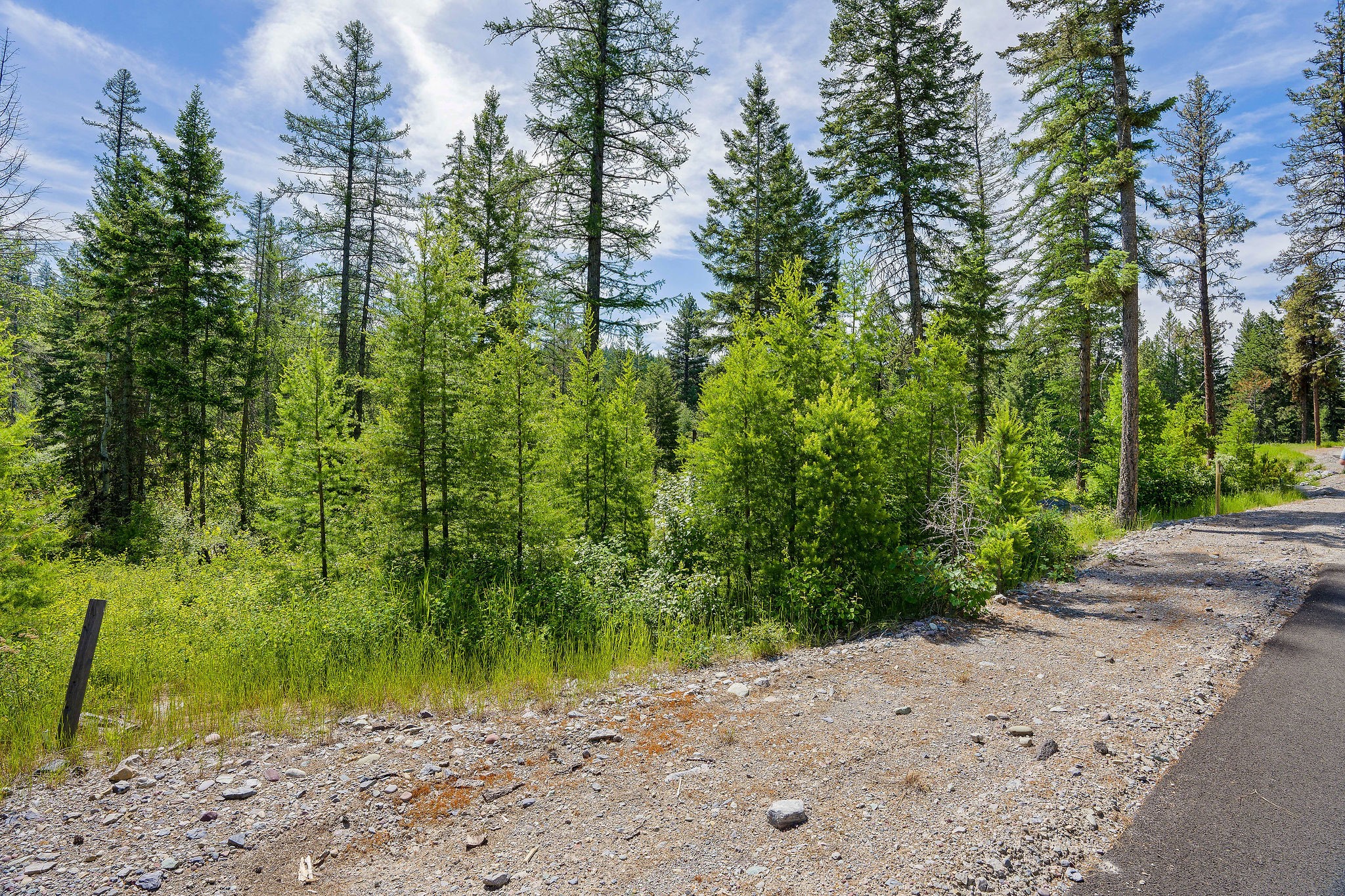 429 Chief Cliff Trail Property Photo 3