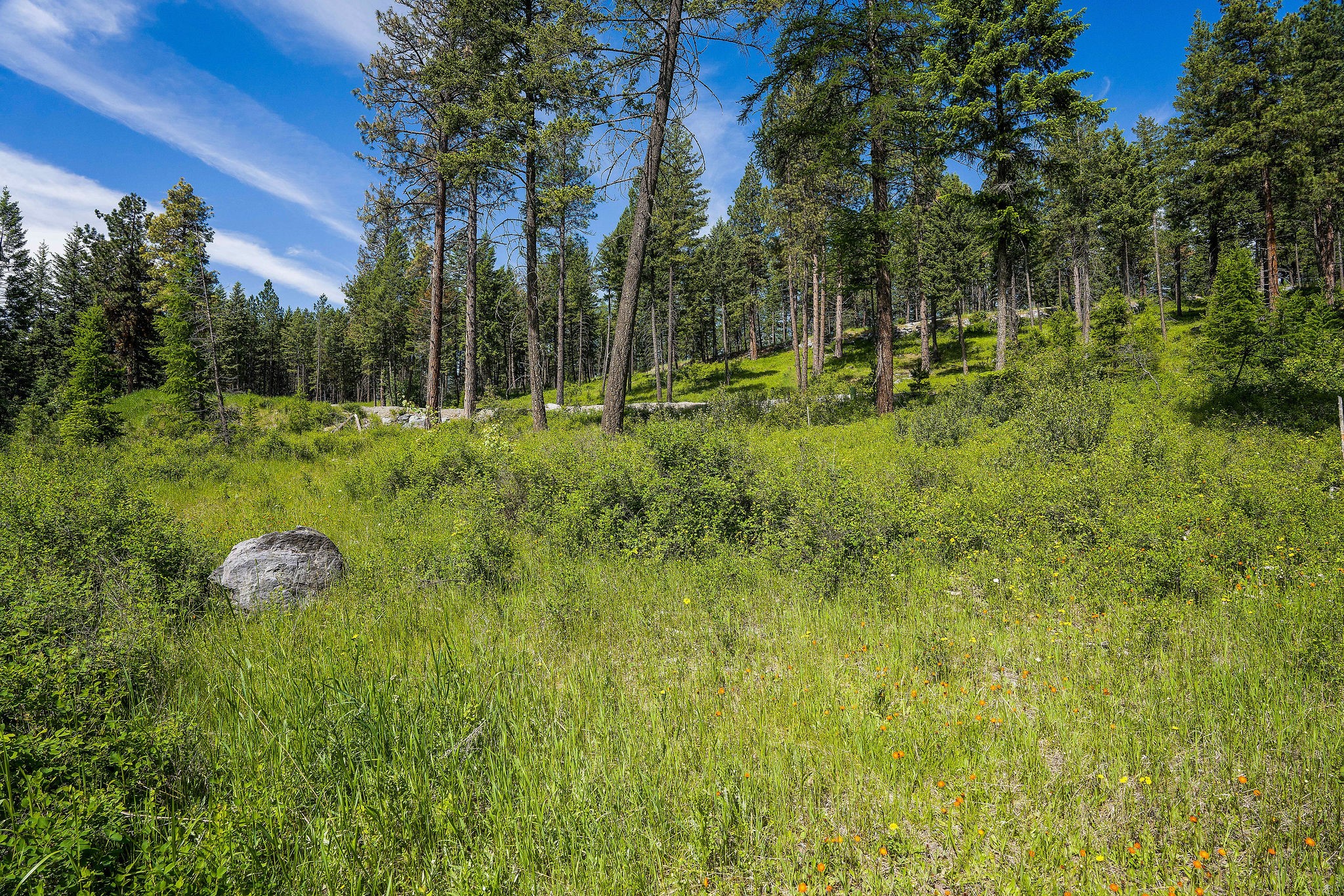 429 Chief Cliff Trail Property Photo 6