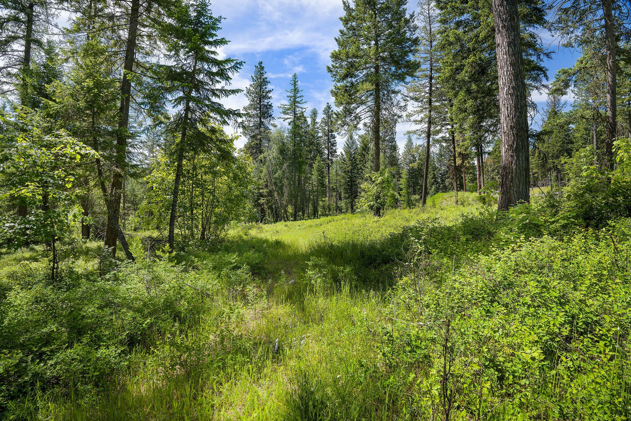 429 Chief Cliff Trail Property Photo 9