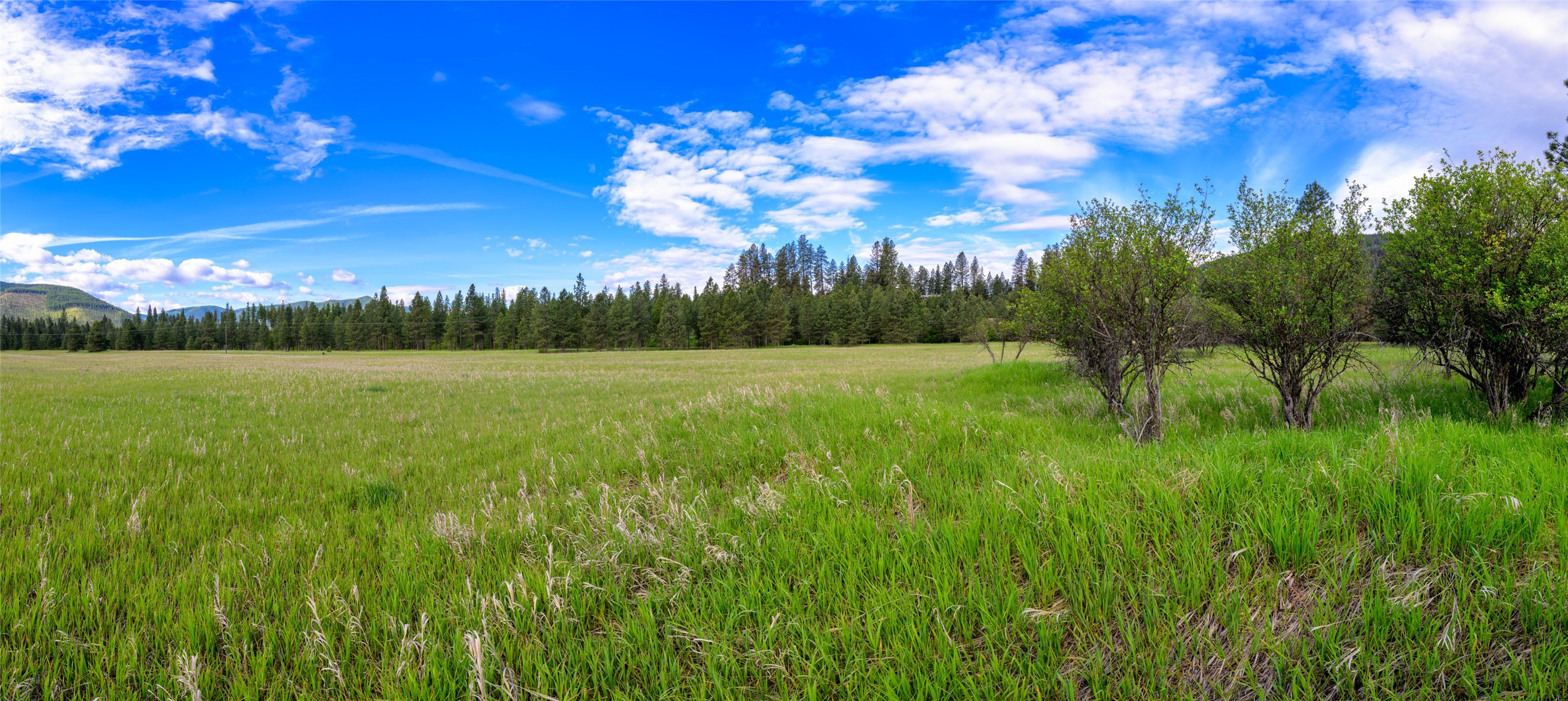 Unk Blackfoot Lane Property Photo 2