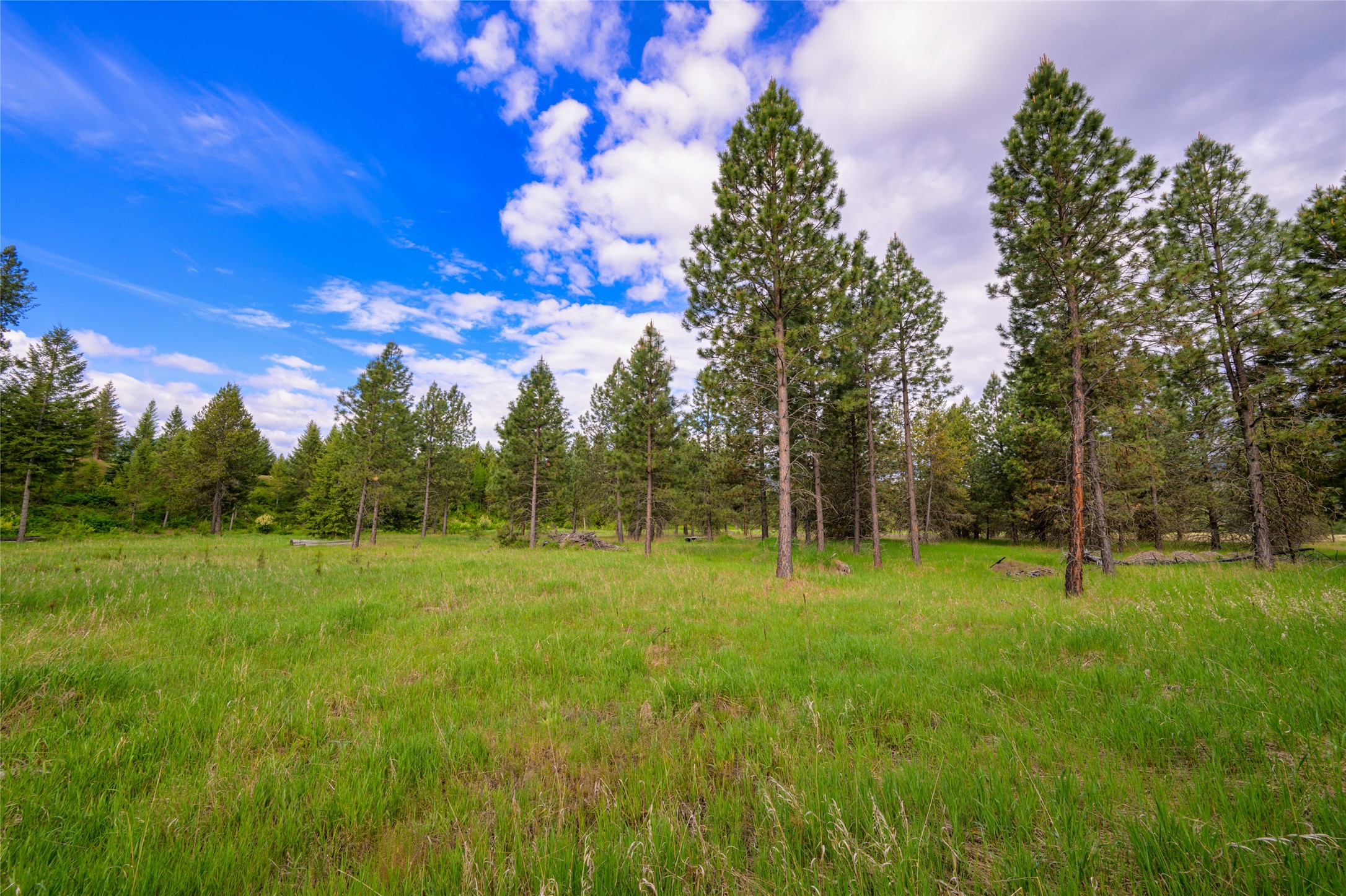 Unk Blackfoot Lane Property Photo 8
