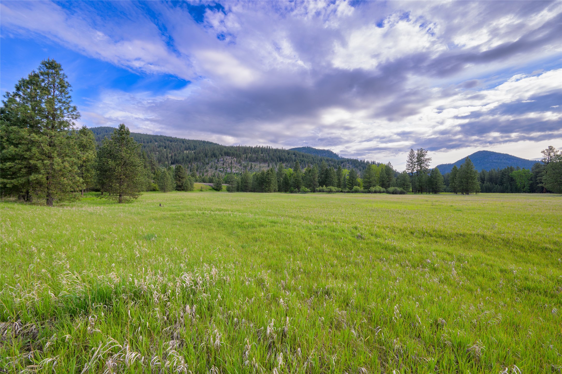 Unk Blackfoot Lane Property Photo 14