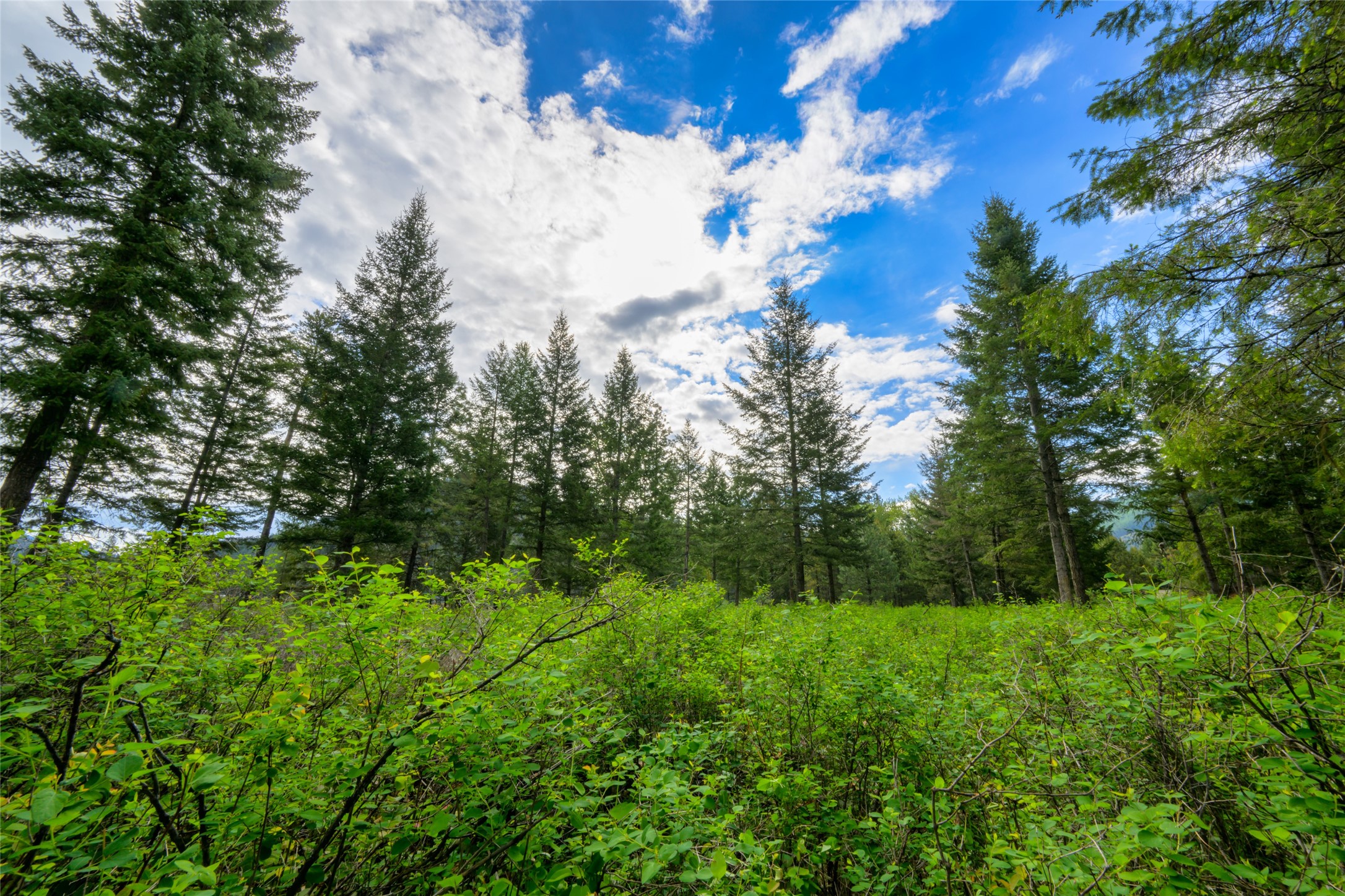 Unk Blackfoot Lane Property Photo 19