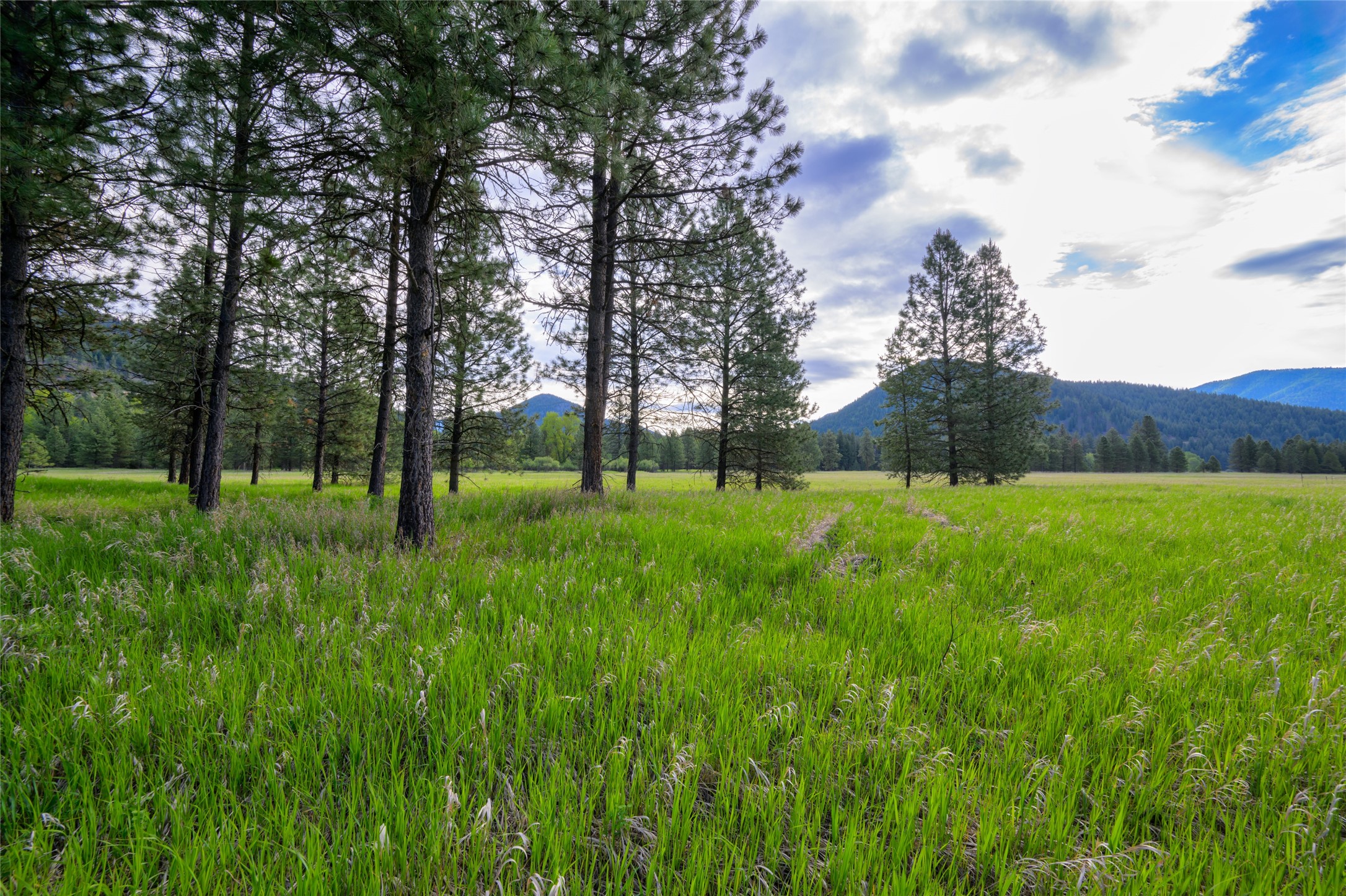 Unk Blackfoot Lane Property Photo 23
