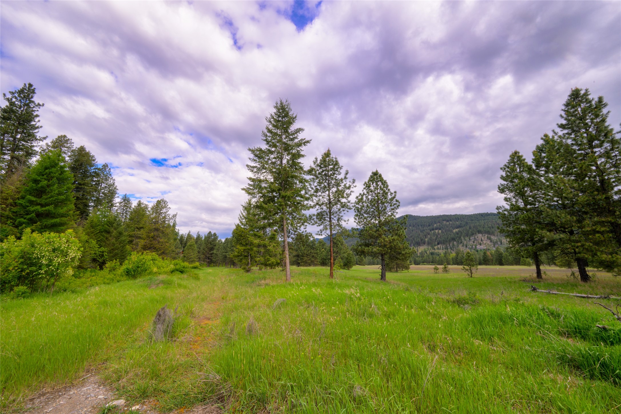 Unk Blackfoot Lane Property Photo 26
