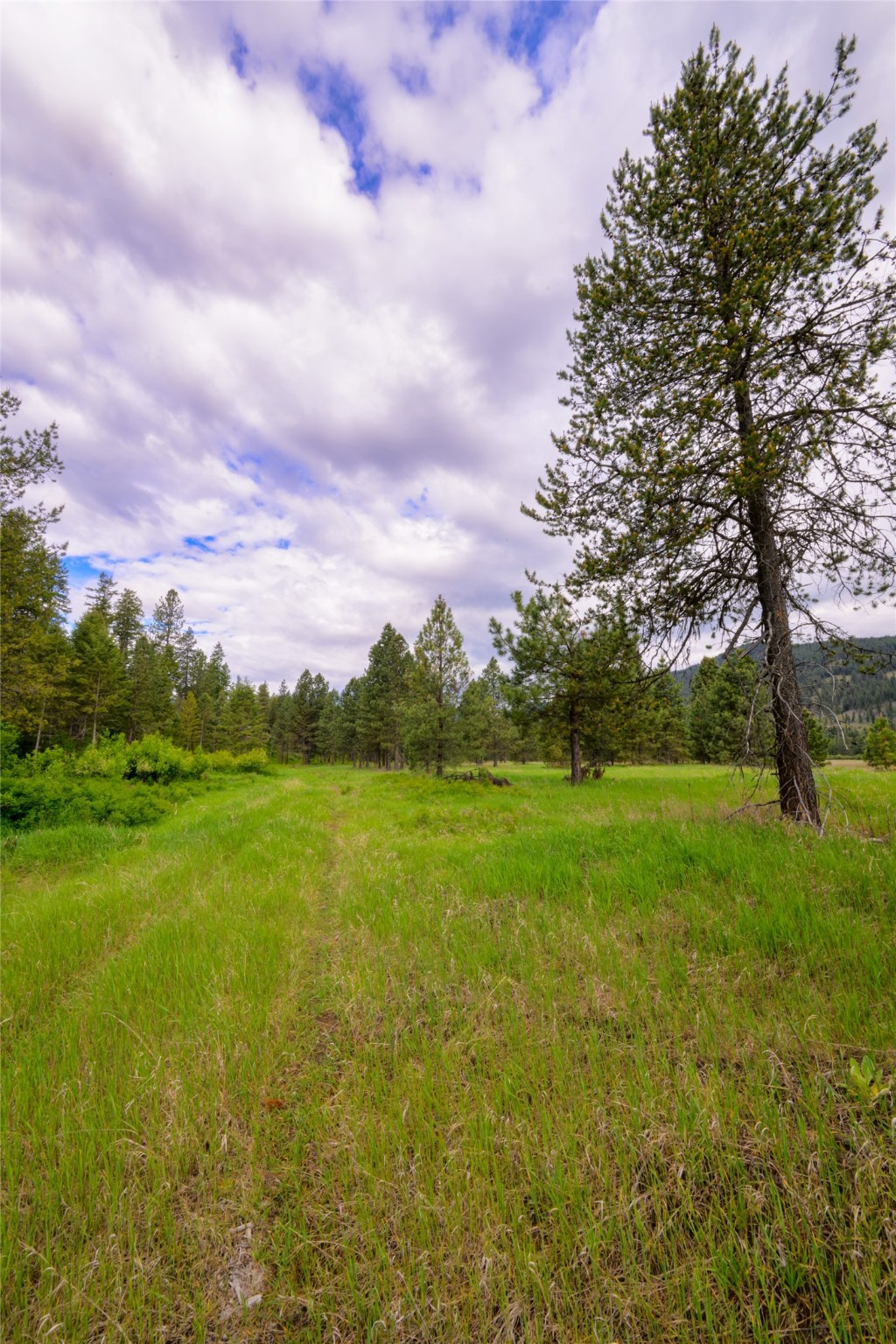 Unk Blackfoot Lane Property Photo 27