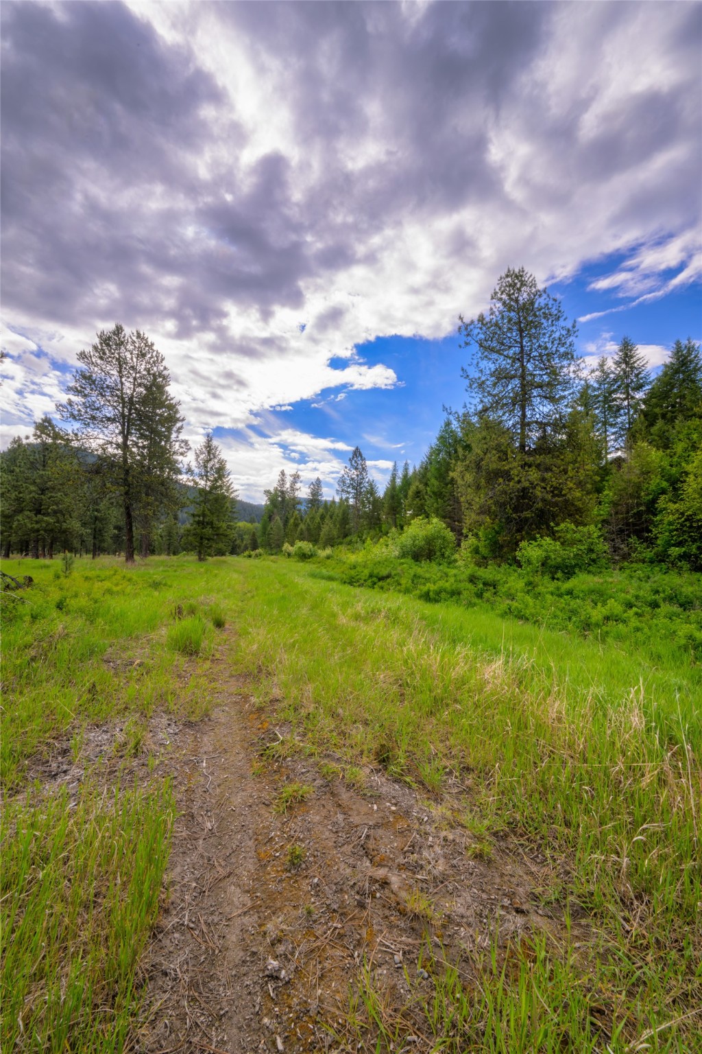Unk Blackfoot Lane Property Photo 28