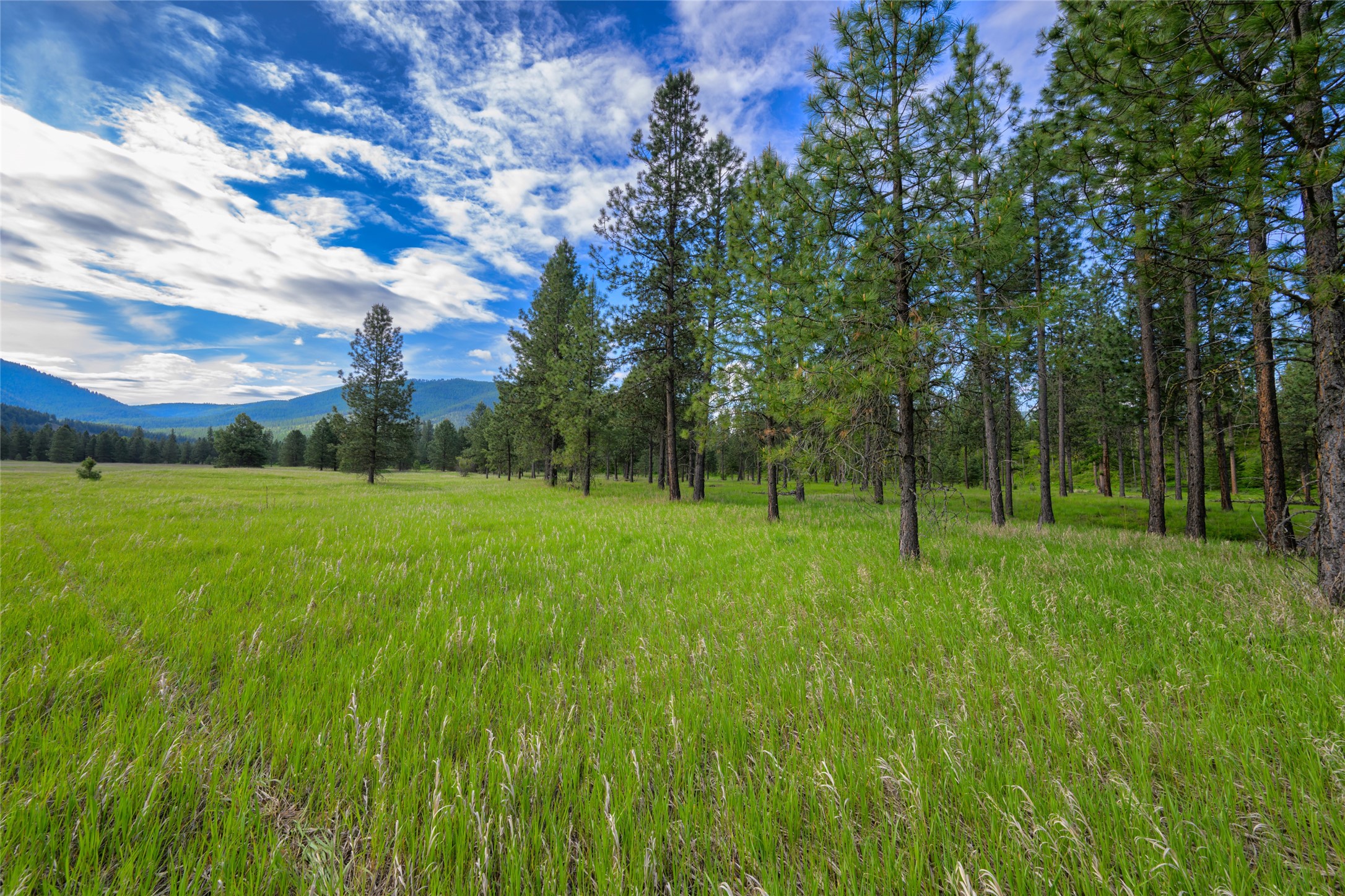 Unk Blackfoot Lane Property Photo 32
