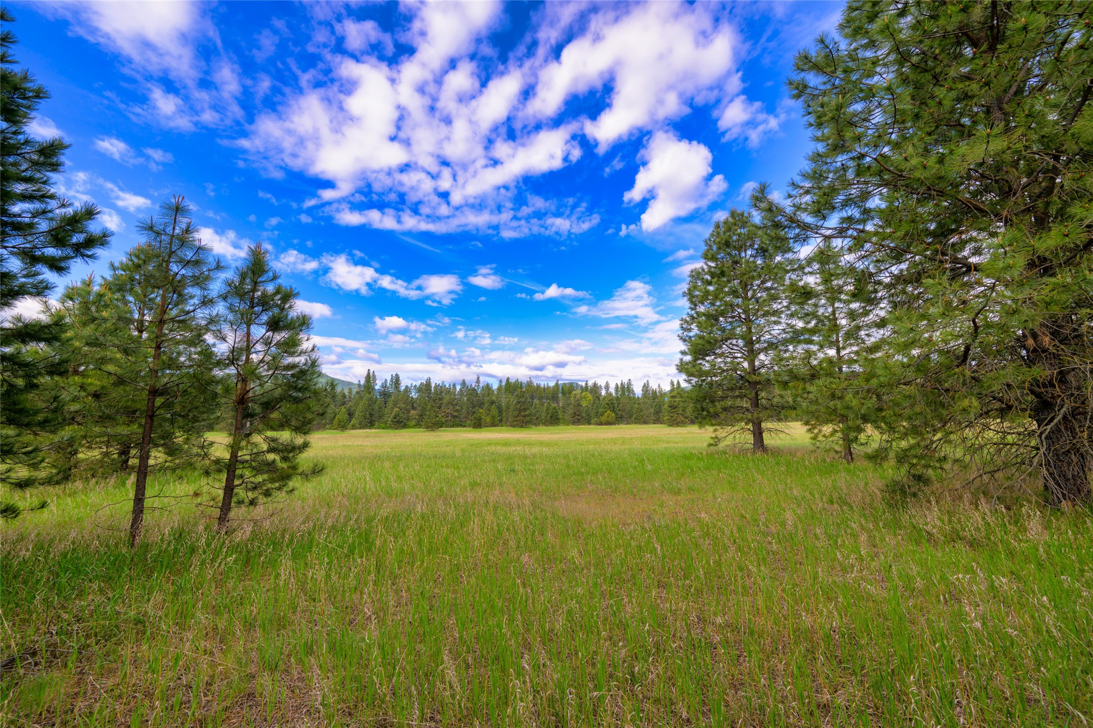Unk Blackfoot Lane Property Photo 34