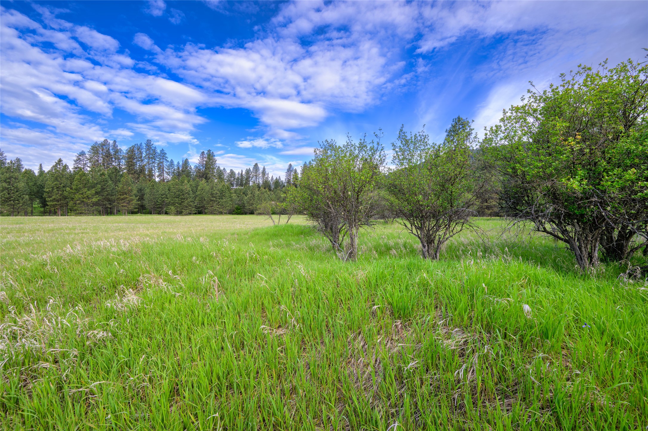 Unk Blackfoot Lane Property Photo 45