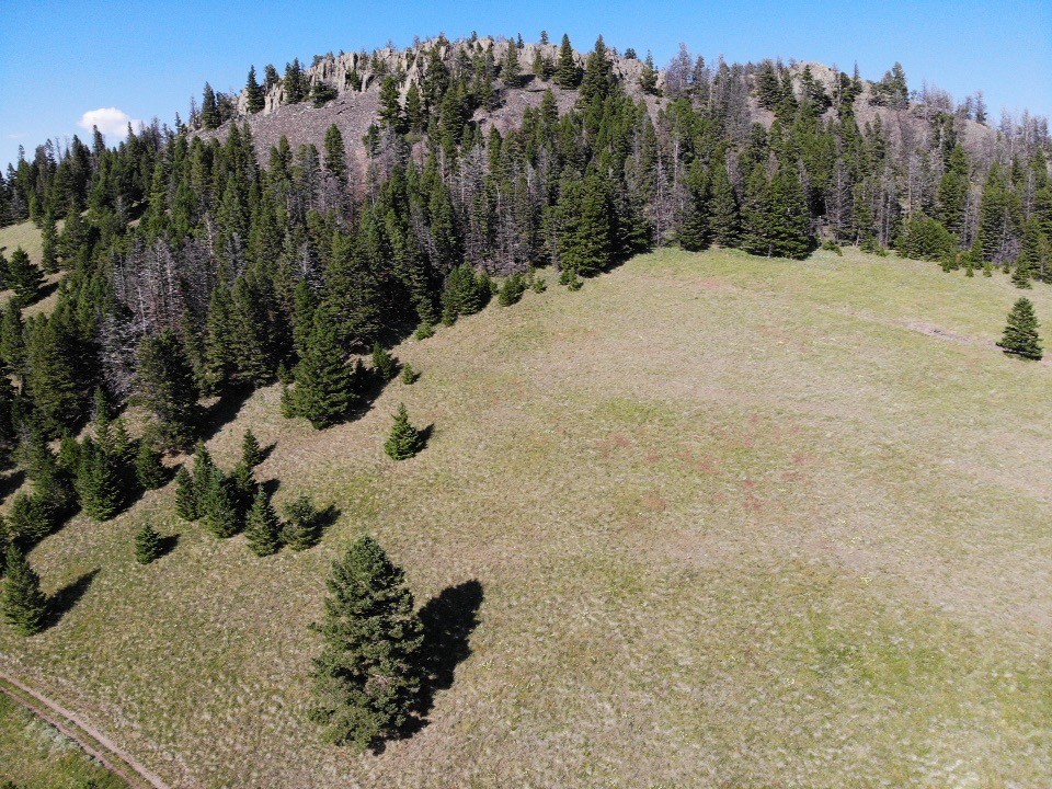 Tbd Outer Loop Road Property Photo 9