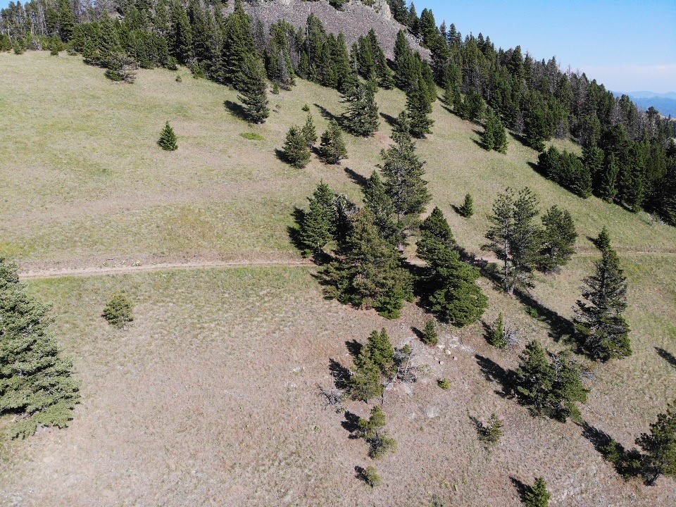 Tbd Outer Loop Road Property Photo 18