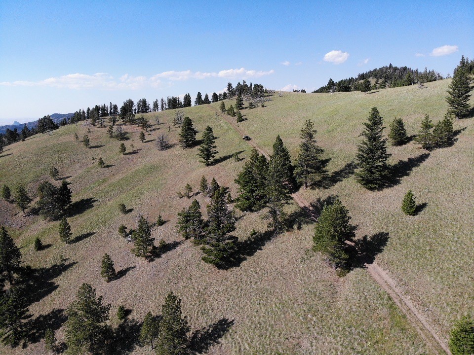 Tbd Outer Loop Road Property Photo 20