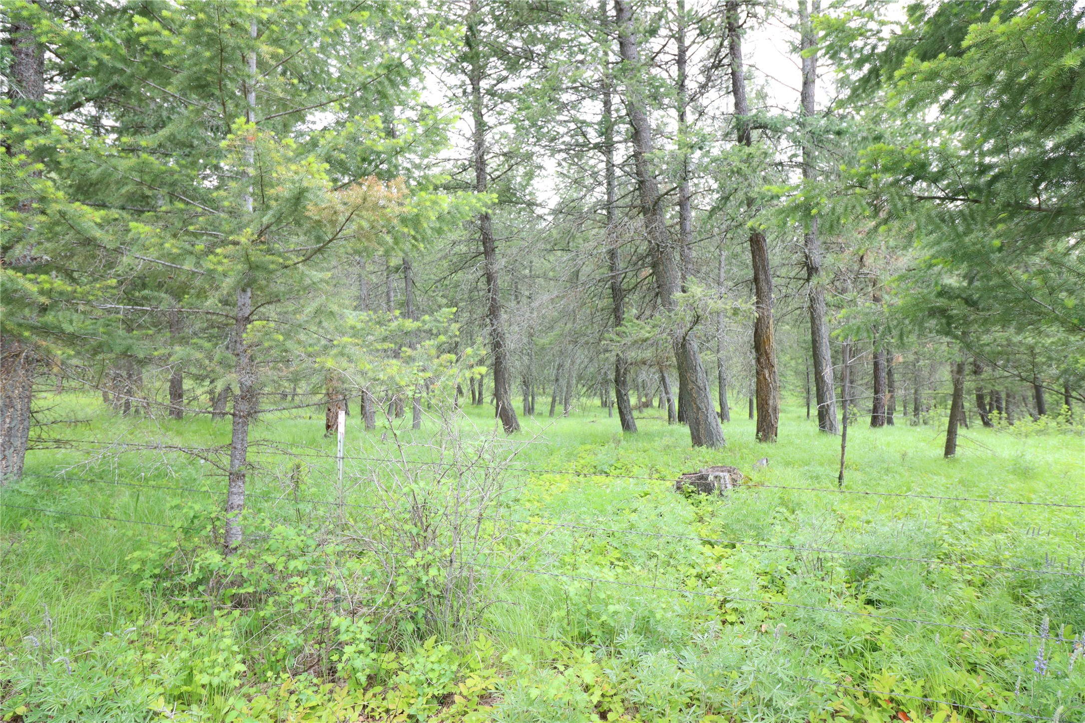 Nhn Black Lake Road Property Photo 3