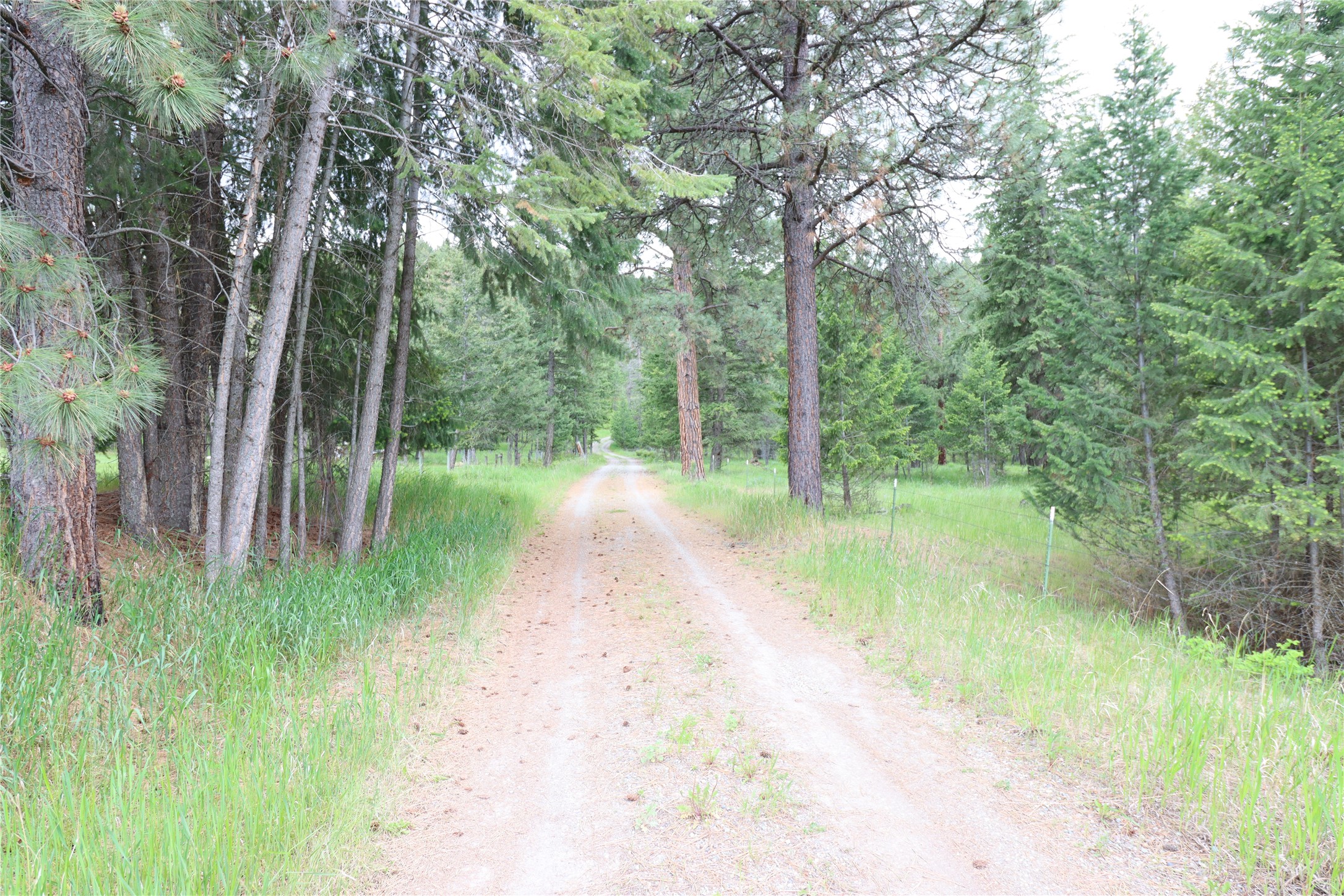 Nhn Black Lake Road Property Photo 4