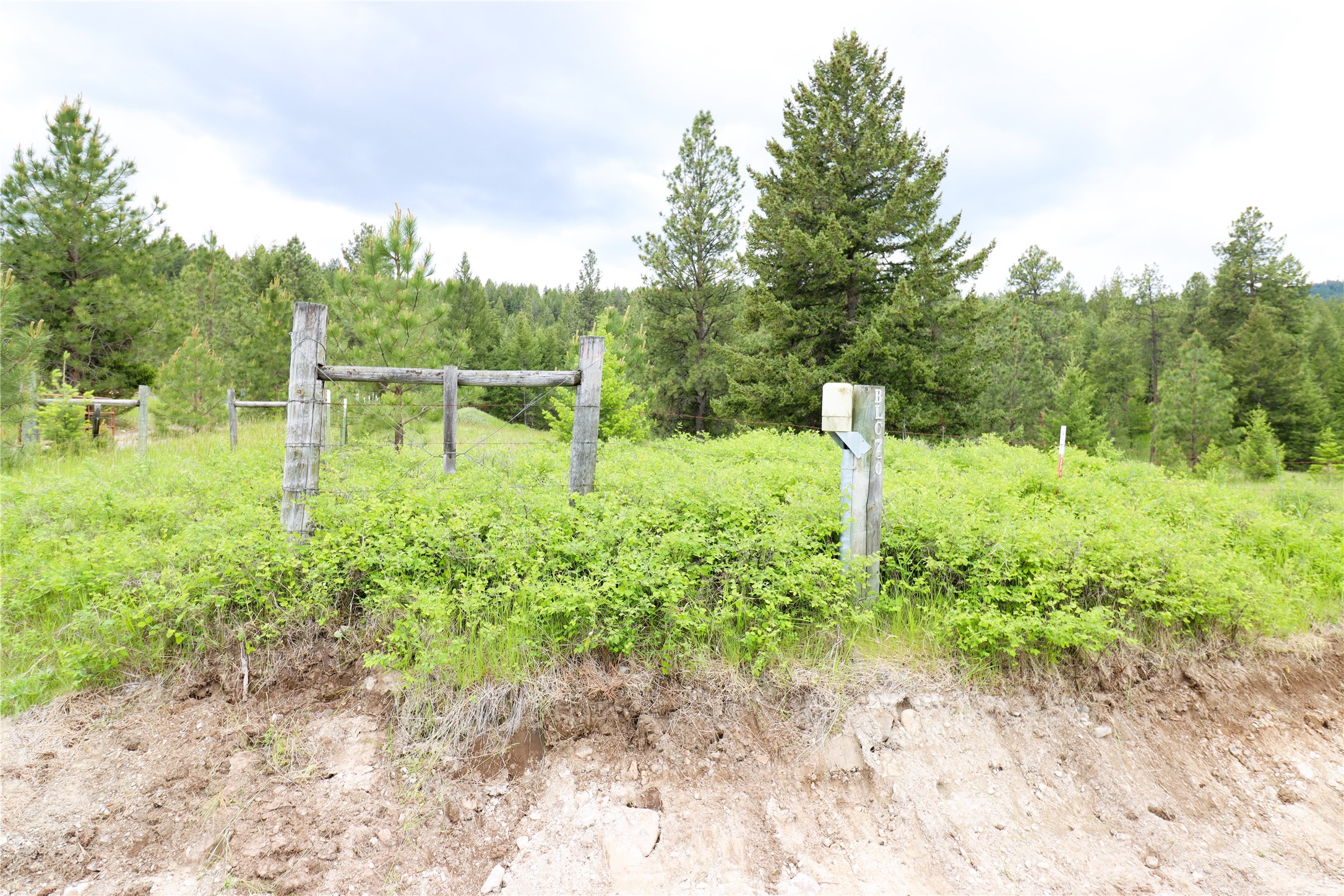 Nhn Black Lake Road Property Photo 8