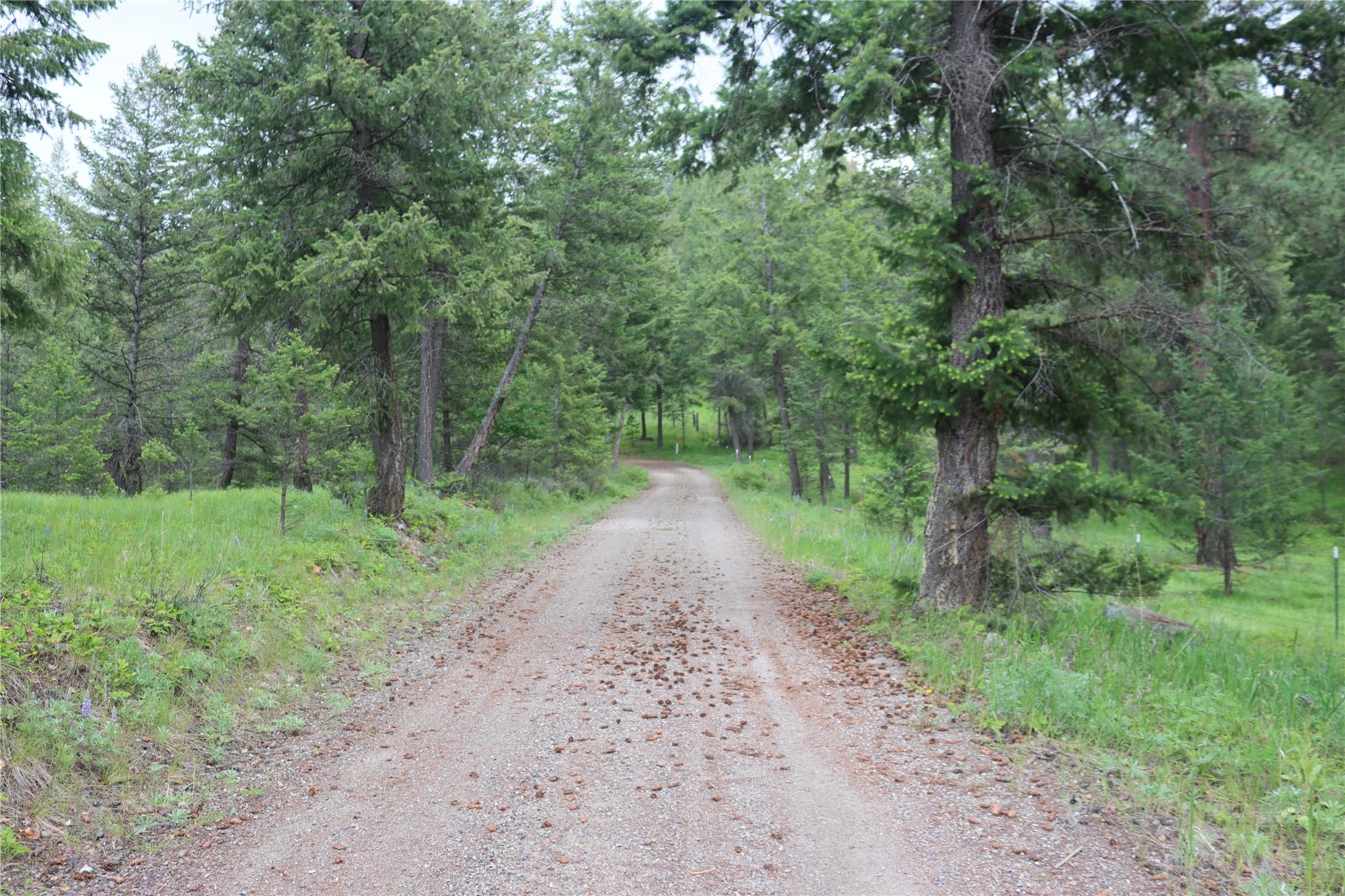 Nhn Black Lake Road Property Photo 9