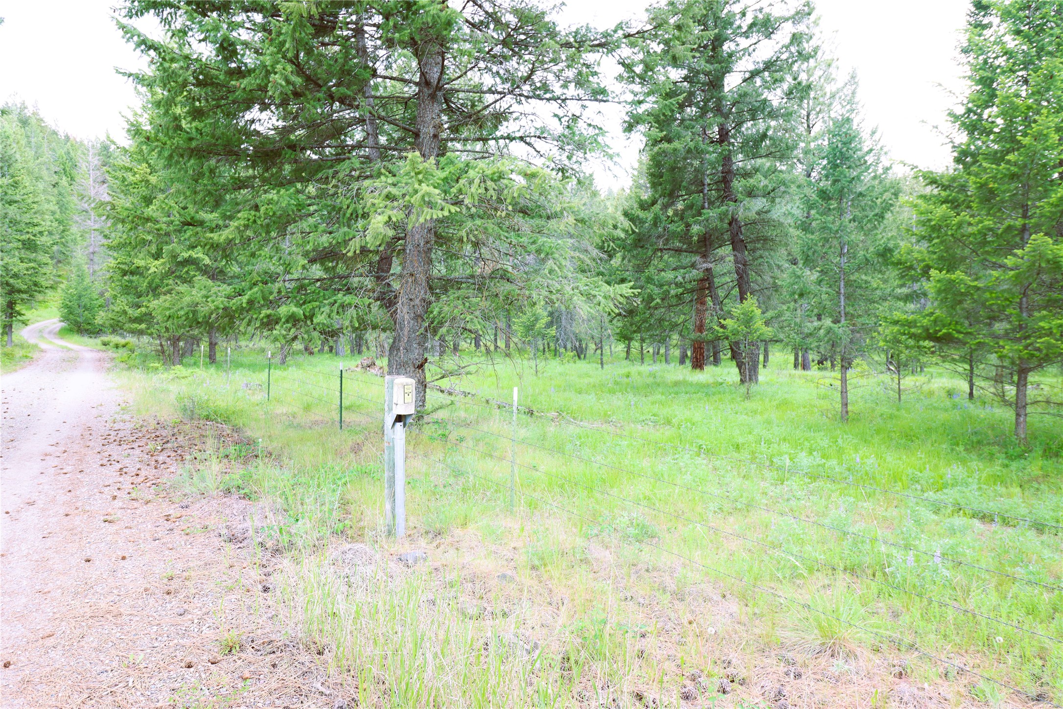 Nhn Black Lake Road Property Photo 13