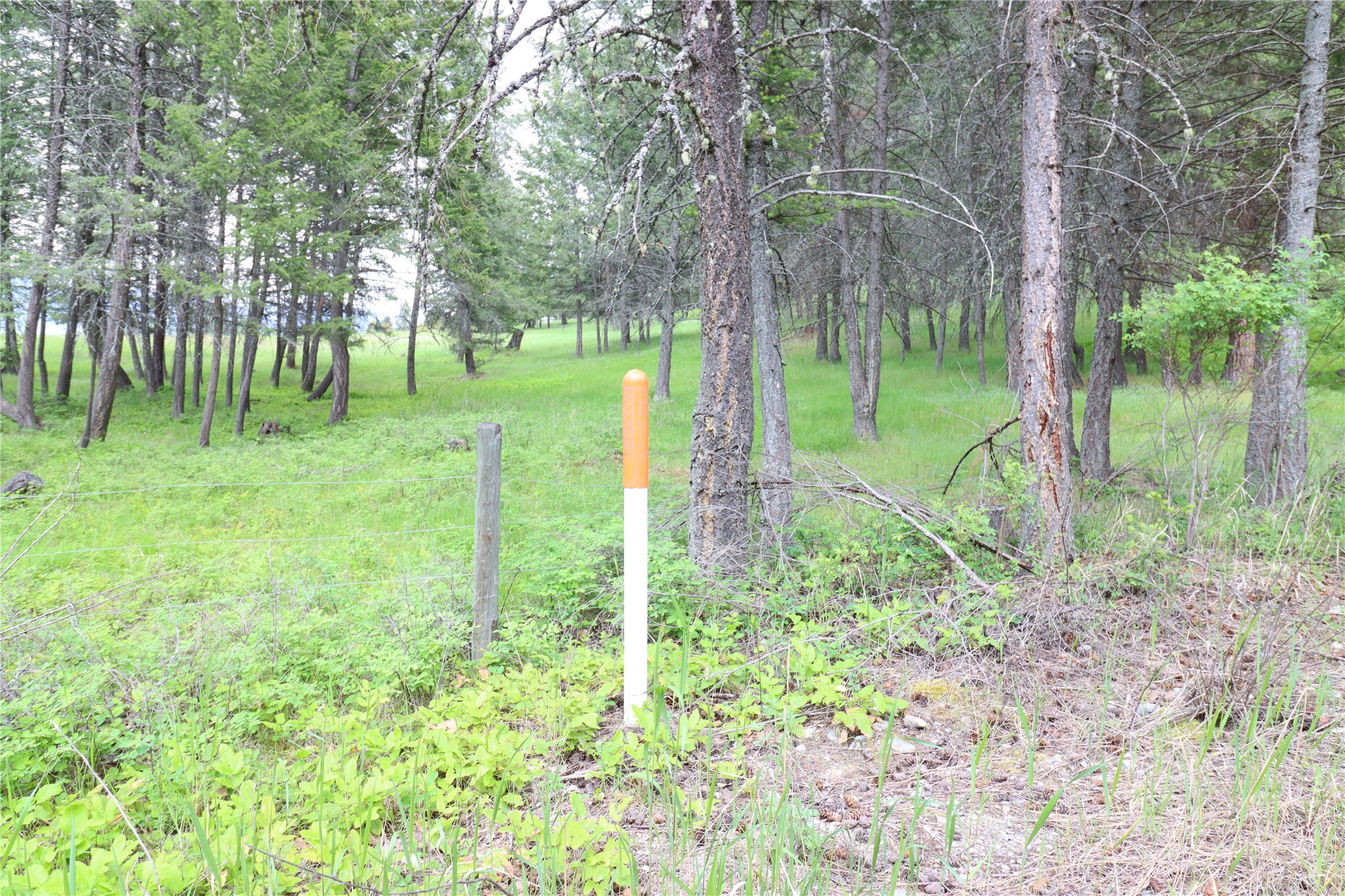 Nhn Black Lake Road Property Photo 14