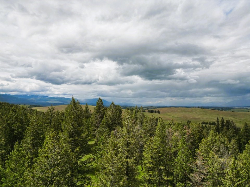 Nhn Black Lake Road Property Photo 15