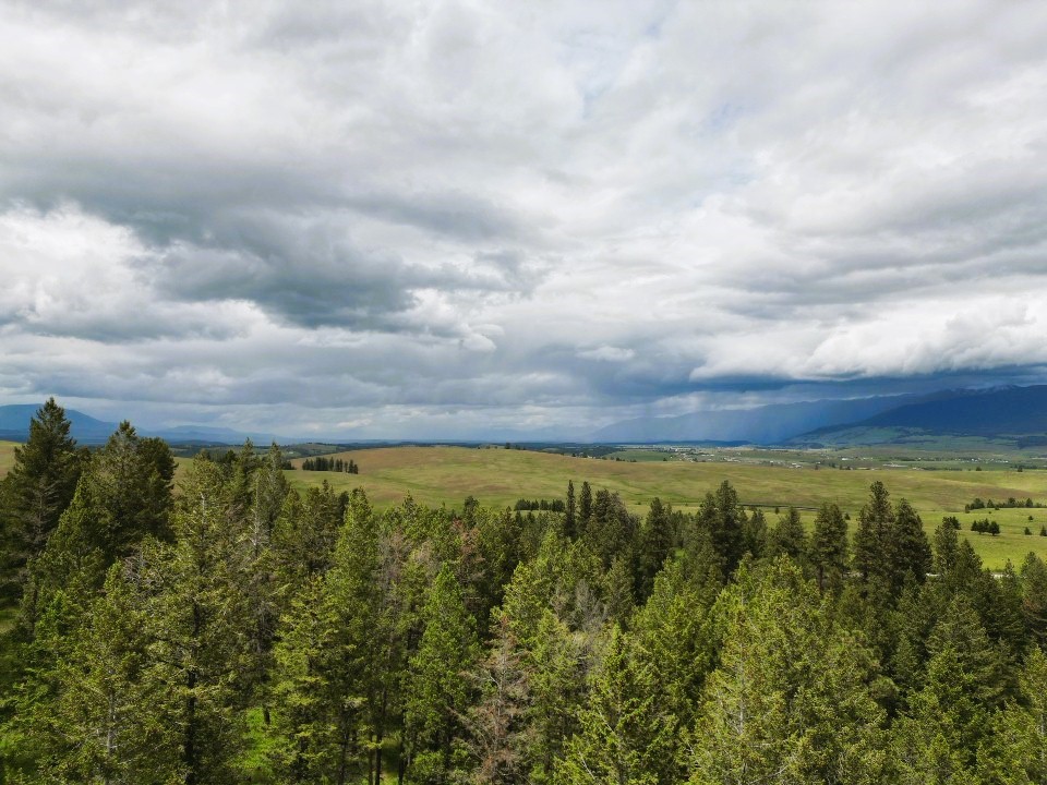Nhn Black Lake Road Property Photo 17