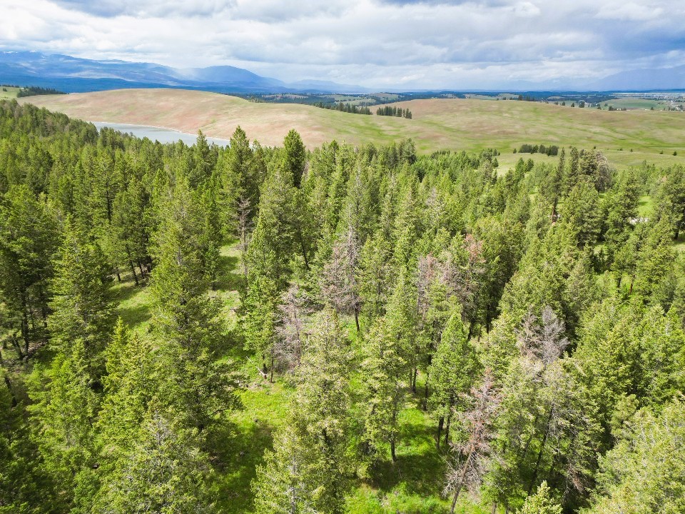 Nhn Black Lake Road Property Photo 18